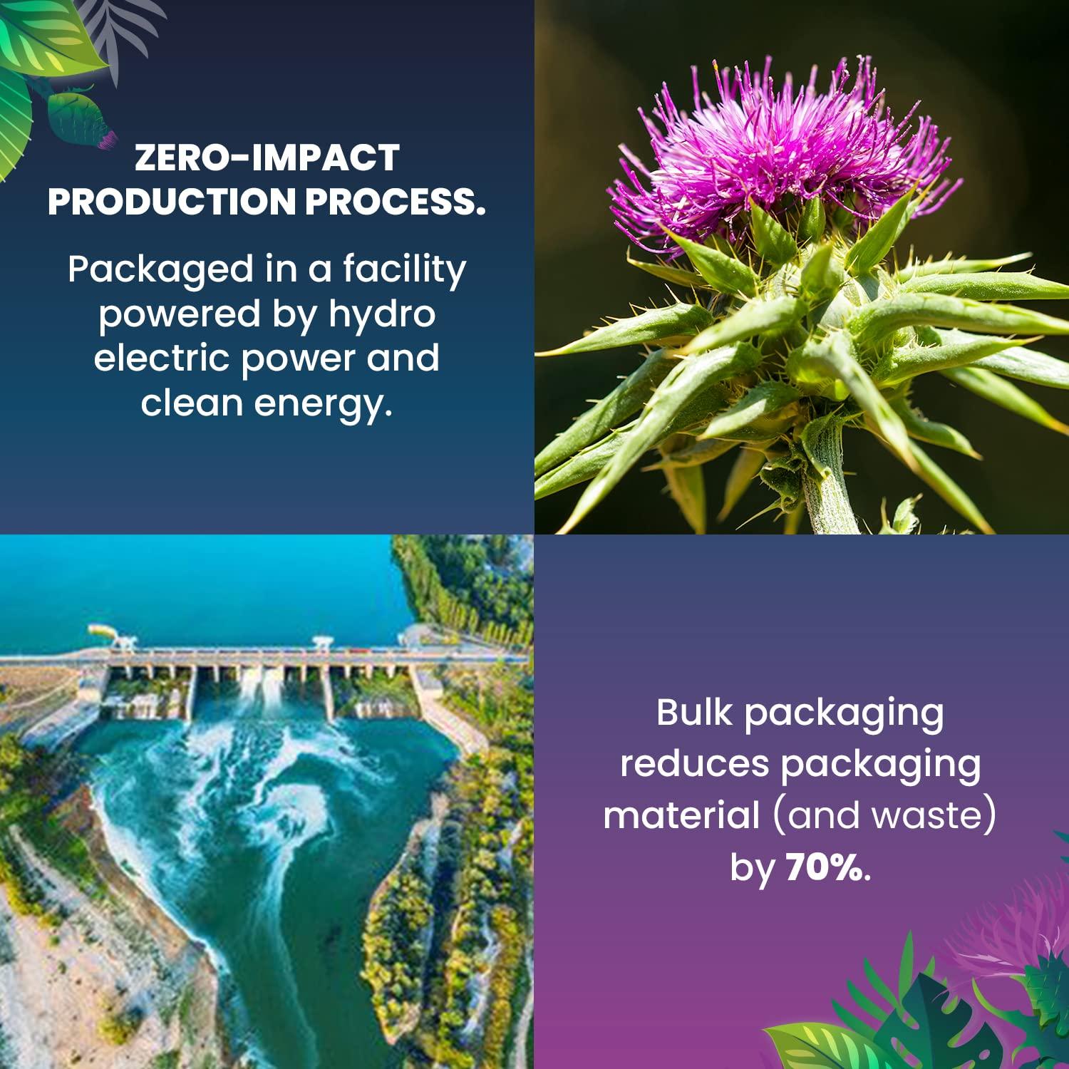 Cederberg Tea Company Organic Milk Thistle Tea — 100 Tea Bags | Organic Herbal Tea From Single Origin | Eco-Friendly Tea Bags | Non-GMO Caffeine Free Tea With Zero Sugar | Cederberg Tea Company