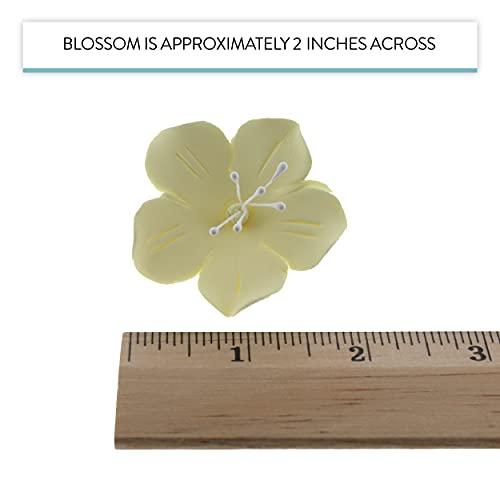 Global Sugar Art Global Sugar Art Fruit Blossom Sugar Cake Flowers, Yellow, Large, 18 Count by Chef Alan Tetreault