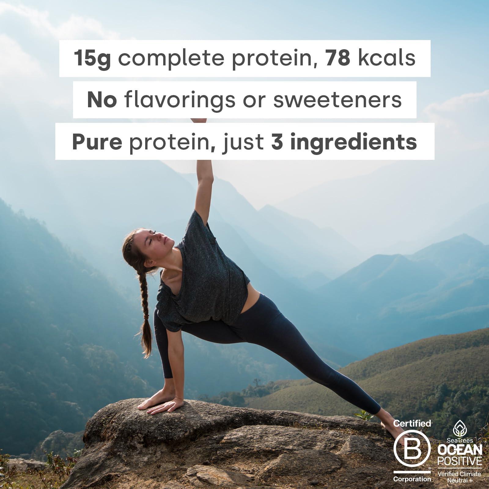 Form Form Pureblend Protein - Unflavored and Unsweetened Vegan Protein Powder - 15g of Plant Based Protein per Serving. Perfect for Your Smoothies, Cooking and Baking.