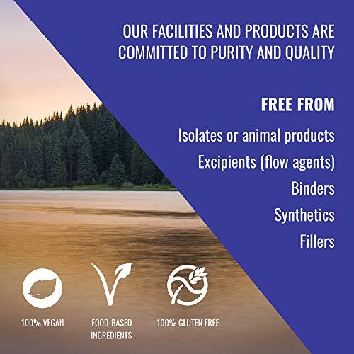 HEALTHFORCE SUPERFOODS Healthforce Superfood Gelatinized Maca - 8 Oz Powder