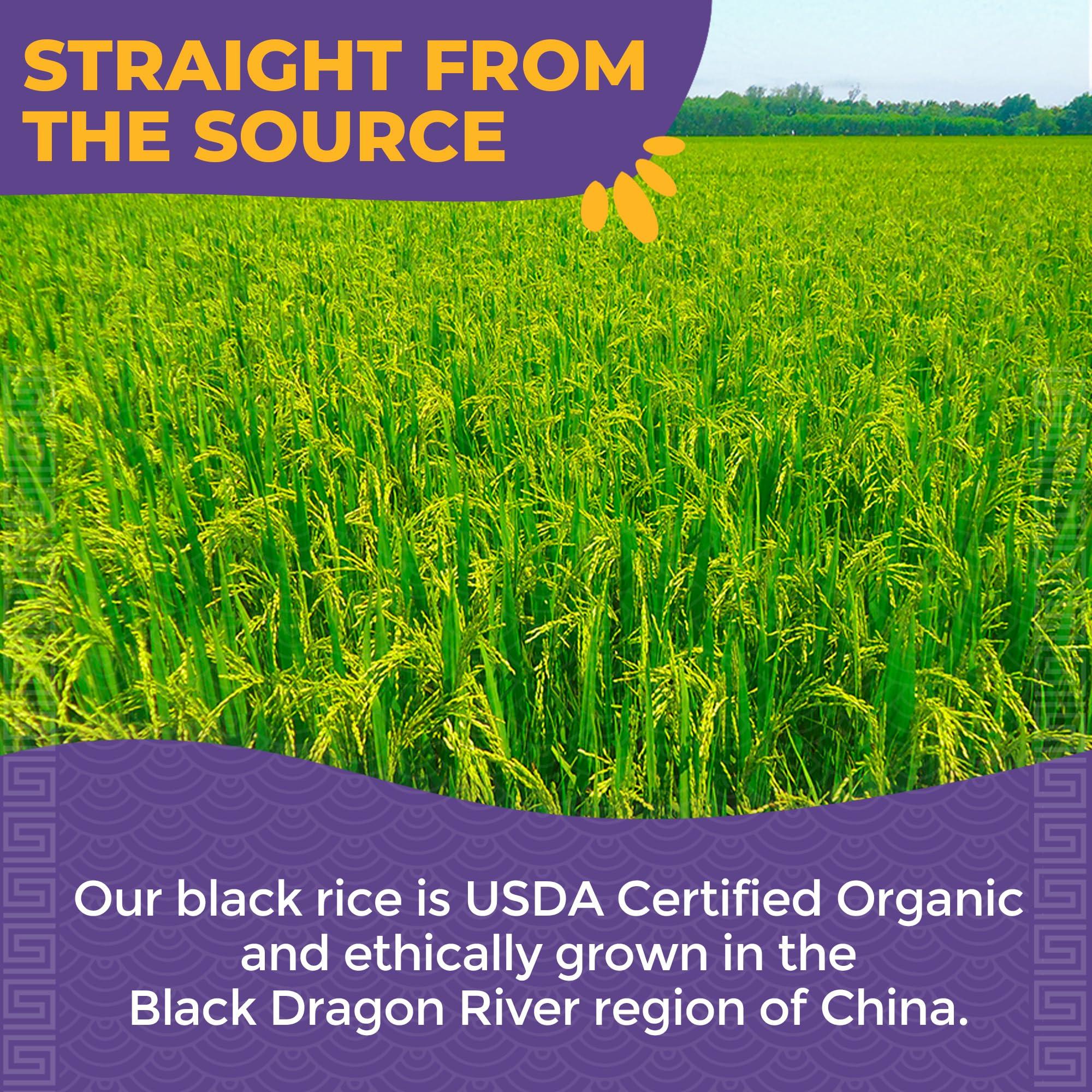 Lotus Foods Lotus Foods Organic Forbidden Rice - Black Rice Organic, Purple Rice, Black Rice Bulk, Gluten Free Heirloom Rice, Whole Grain, Non GMO, Vegan - 15 Oz Bag (Pack of 1)
