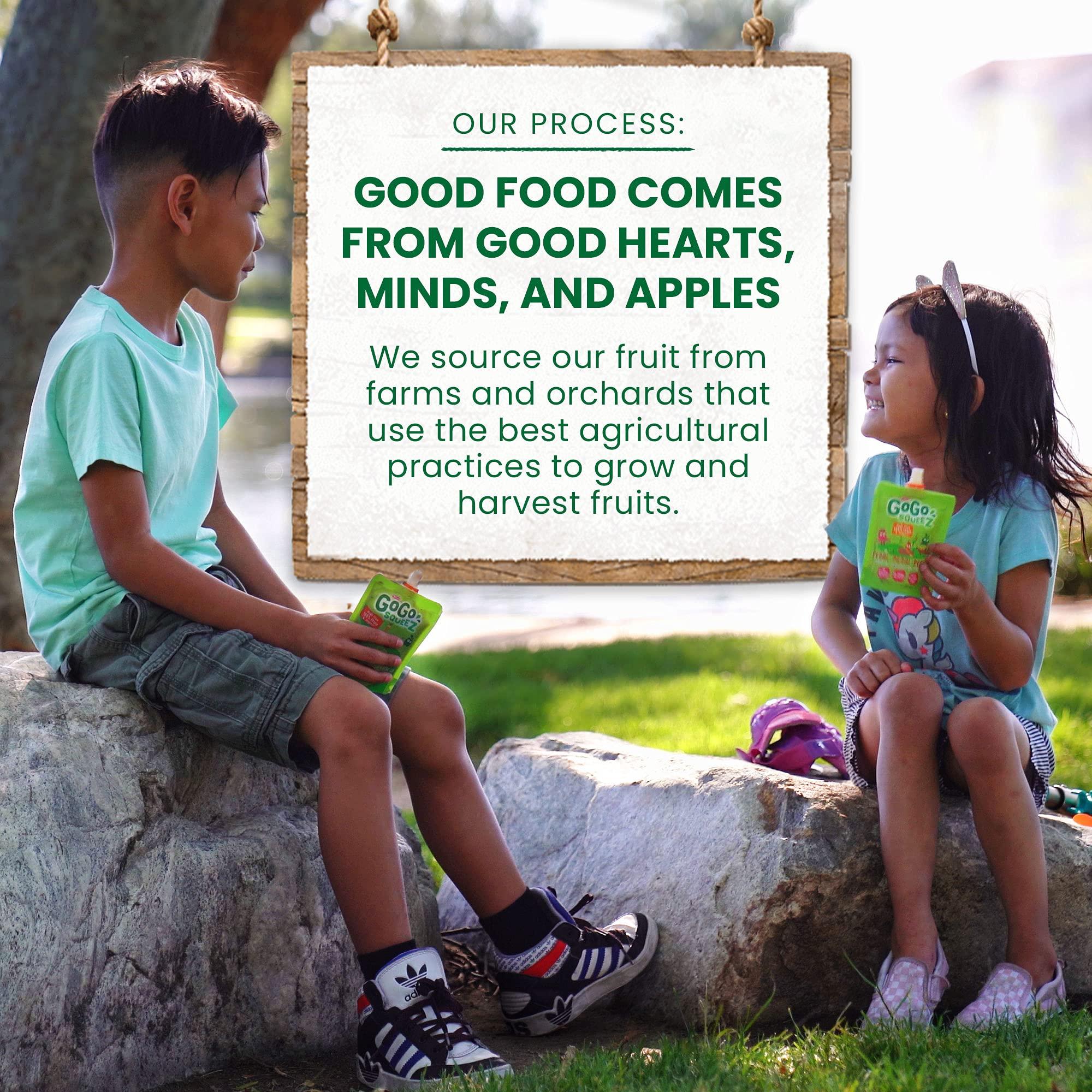 GoGo SqueeZ GoGo squeeZ Applesauce and Fruit Puree, Apple Apple, 3.2 oz (Pack of 18), Unsweetened Fruit Snacks for Kids, Gluten Free, Nut Free and Dairy Free, Recloseable Cap, BPA Free Pouches