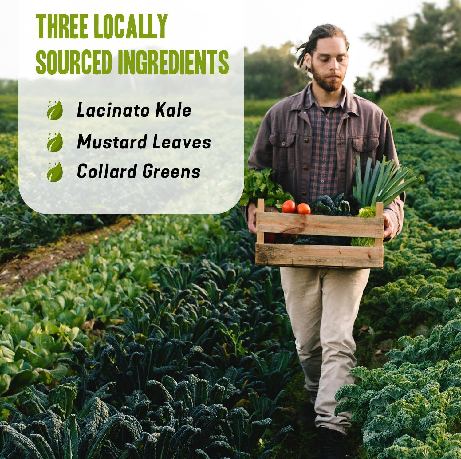 Dr. Cowan's Garden Dr. Cowan\'s Garden Low-Oxalate Greens Veggie Powder Refill Pouch - Beyond Organic Superfood Greens Vegetable Powder for Drinks and Food - Lacinato Kale, Mustard Leaves, and Collard Greens