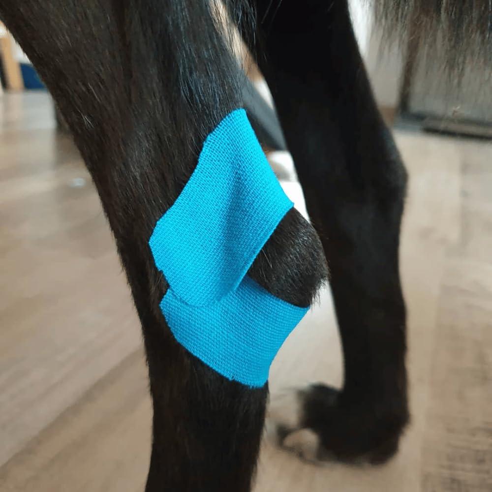 VETKIN VetkinTape Veterinary Kinesiology Tape Blue | kinesiology Tape For Horses & Dogs | Equine & Canine Kinesiotape | Latex Free and TV Quality Mark Certified Ktape | 4 inch | Pack of 1 Roll