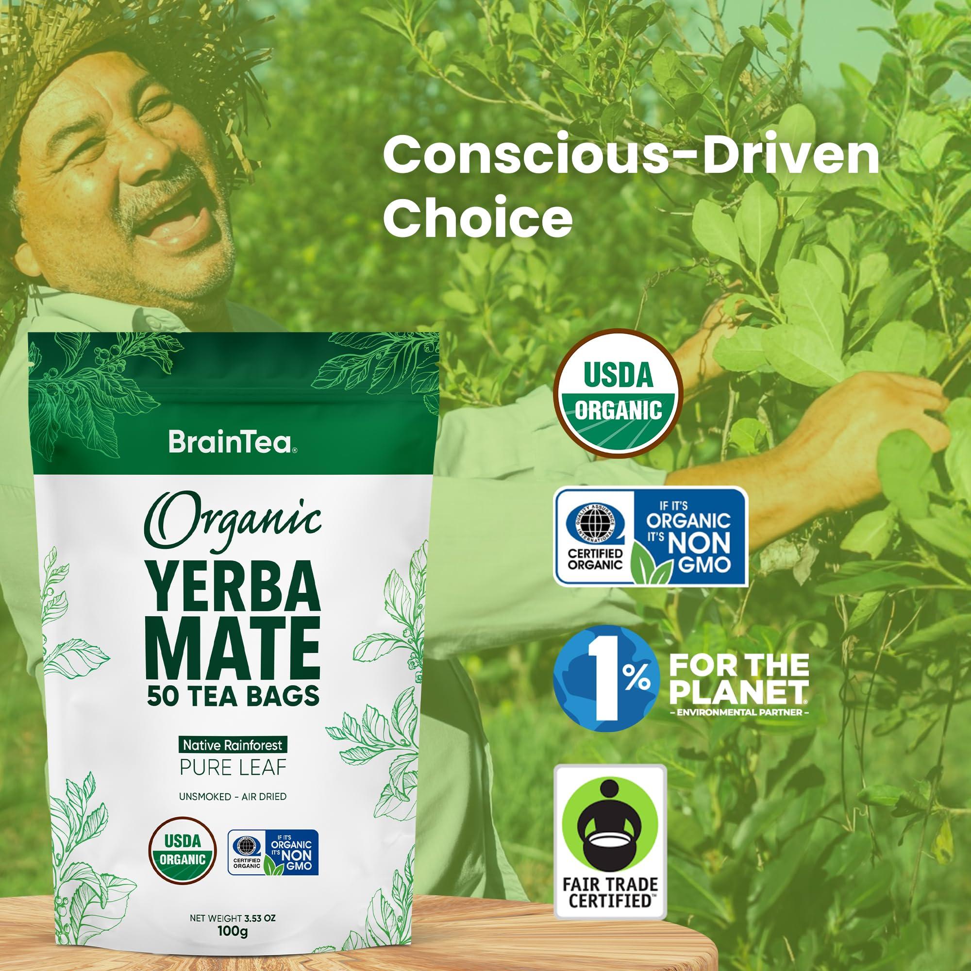 Brain Tea Yerba Mate Tea Organic - Brain Tea Organic Yerba Mate Tea bags 50 count - Native Rainforest Sourced, Unsmoked & Air-Dried, High Caffeine Matte Tea for Detox & Focus Boost - 100g