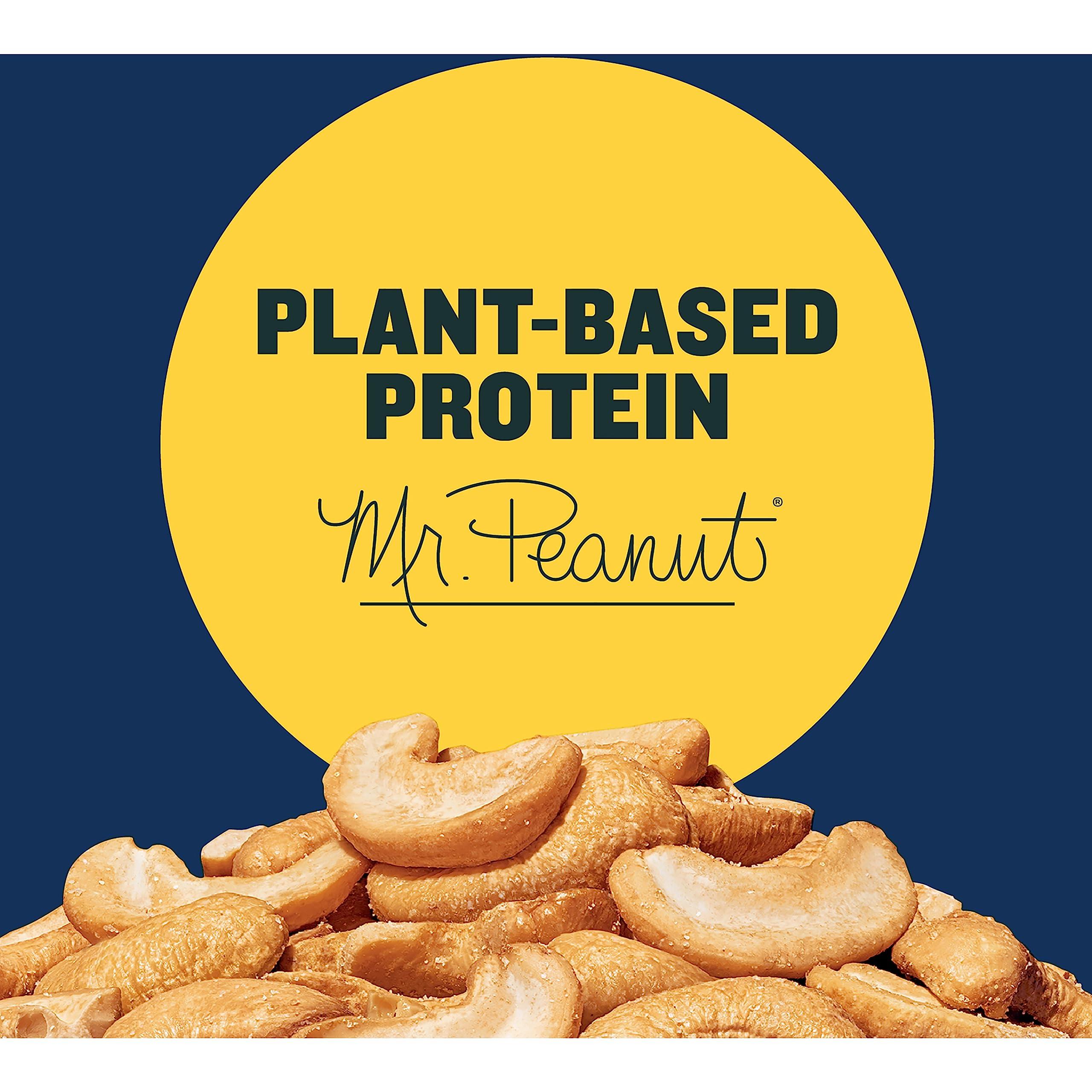 Planters PLANTERS Salted Cashew Halves & Pieces, Party Snacks, Plant-Based Protein 8oz (1 Canister) (Pack of 3)