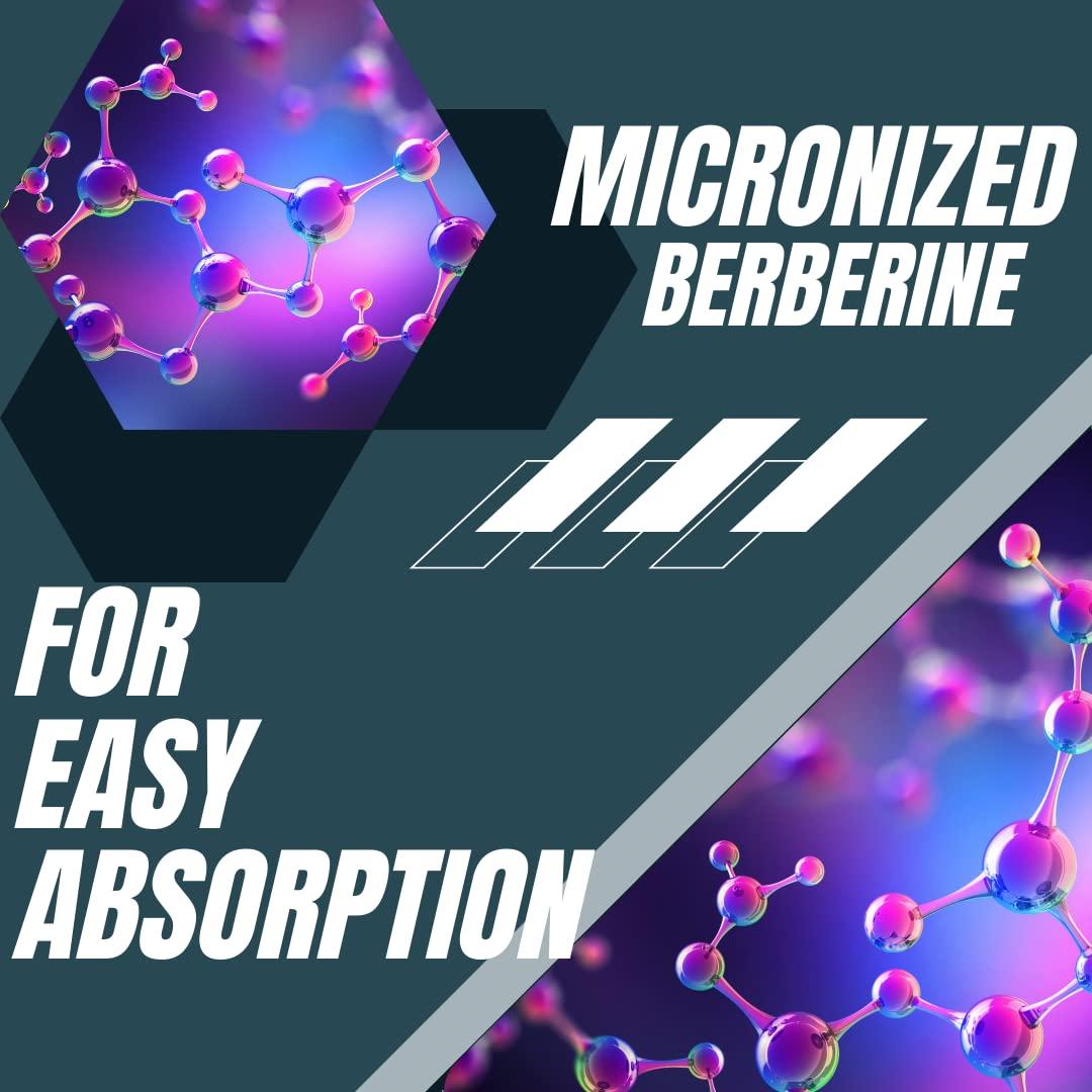 Research Labs Research Labs 1500mg Clinical Grade Berberine High Absorption Formula & BerberQuil™ Support. 90 Total Capsules