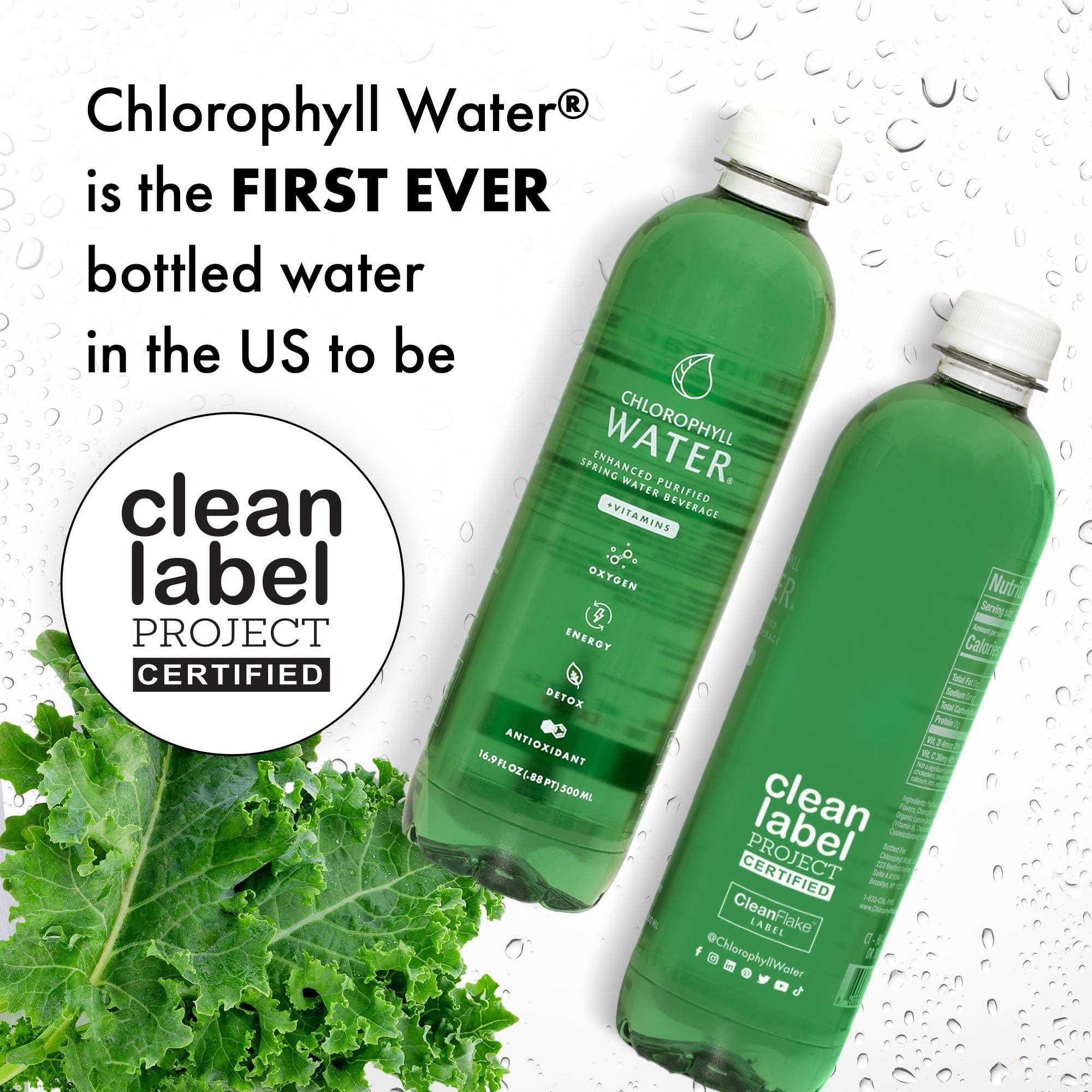 Chlorophyll Water Chlorophyll Water Purified Mountain Spring Water w/Liquid Chlorophyll & Vitamins A, B12, C, D | Plant Based | Antioxidants, Detox Water, Energy Boost, Immune Support 12pk