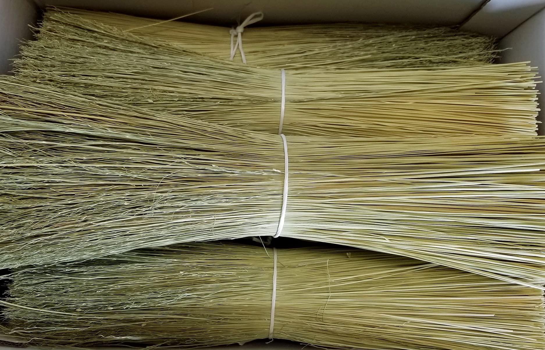 Parker Homestead Broom Corn for Crafting and Broom Making 10 Pound Bundle 20\" Length (Broom Corn)