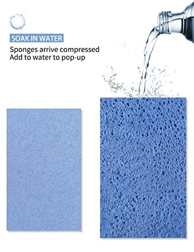 Greenet Cellulose Pop Up Sponges, Large, Natural and Compressed, Multiple Use for Dishes Washing, Kitchen Cleaning, 8 Pack