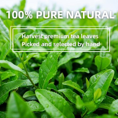 TEATREE Ceremonial Grade Matcha (100g / 3.53oz), Organic Matcha Green Tea Powder, 100% Natural Pure Matcha for Lattes, Smoothies & Baking