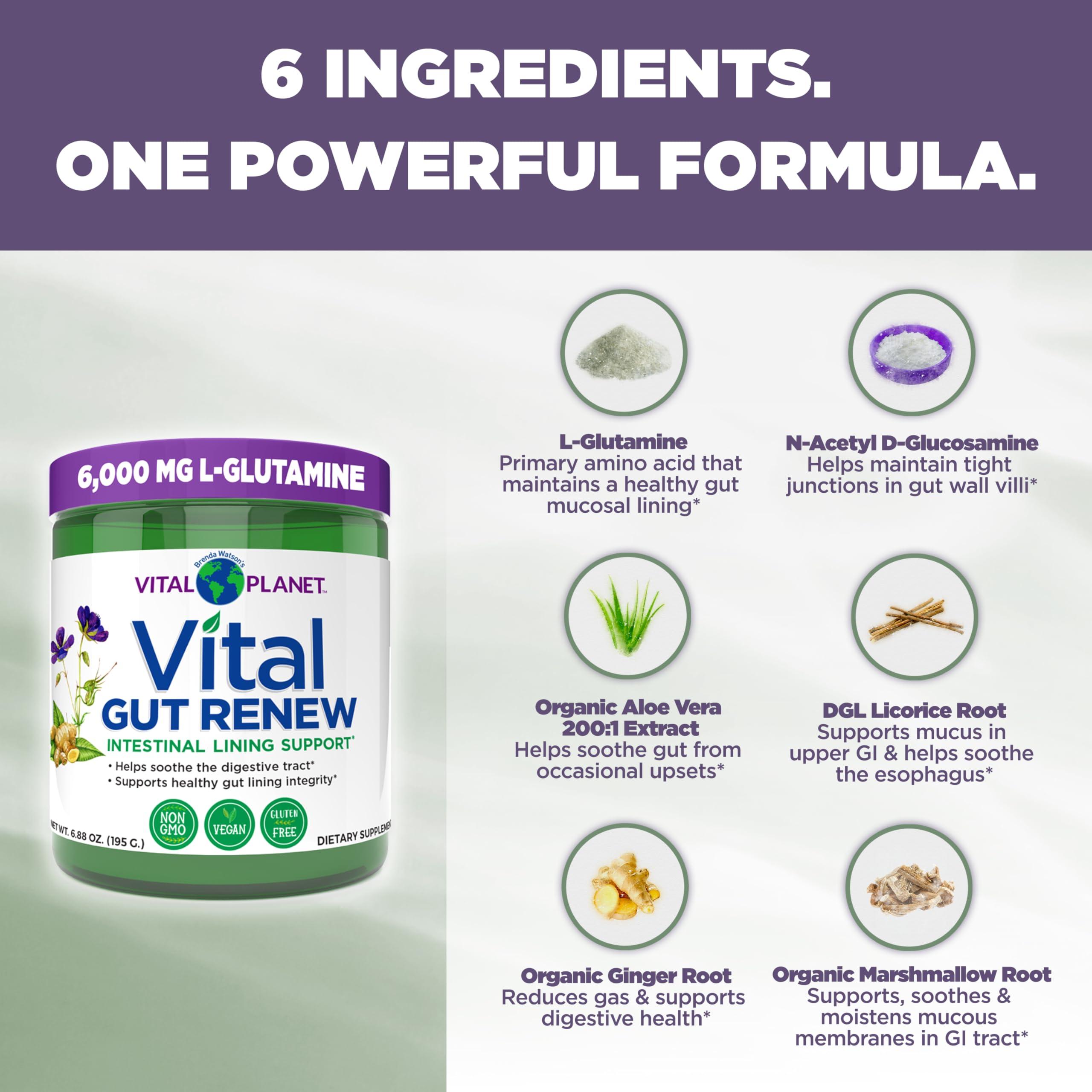 Vital Planet Vital Planet - Vital Gut Renew Powder Supplement for Leaky Gut Repair with L-Glutamine, Marshmallow and Ginger Root, DGL Licorice Root and Organic Aloe Vera, L Glutamine 6000mg 6.88 oz