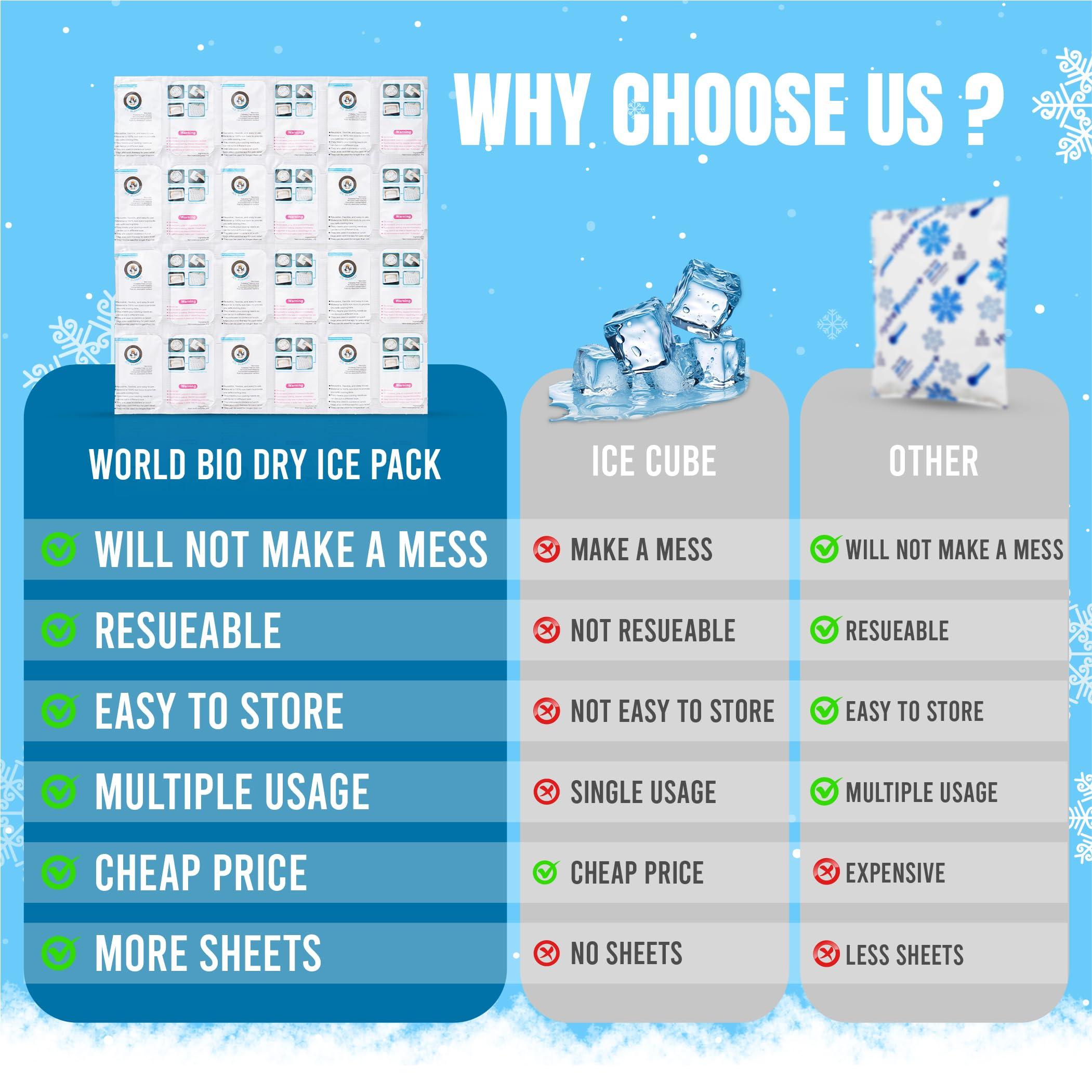 WORLD-BIO Shipping Cold Packs Dry Ice for Shipping Frozen Food, Flexible Cold Ice Pack Sheets for Coolers, Long Lasting Freezer Ice Packs 14\'\' X 13\'\' 144Cells