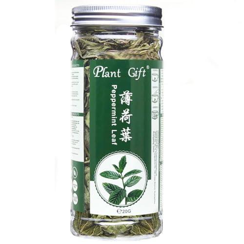 Plant Gift 100% Dried Peppermint Leaves 20G/0.7oz | Premium Dried Crushed Mint Leaves | 100% Natural Mint Leaf | Mint Tea Loose Leaf