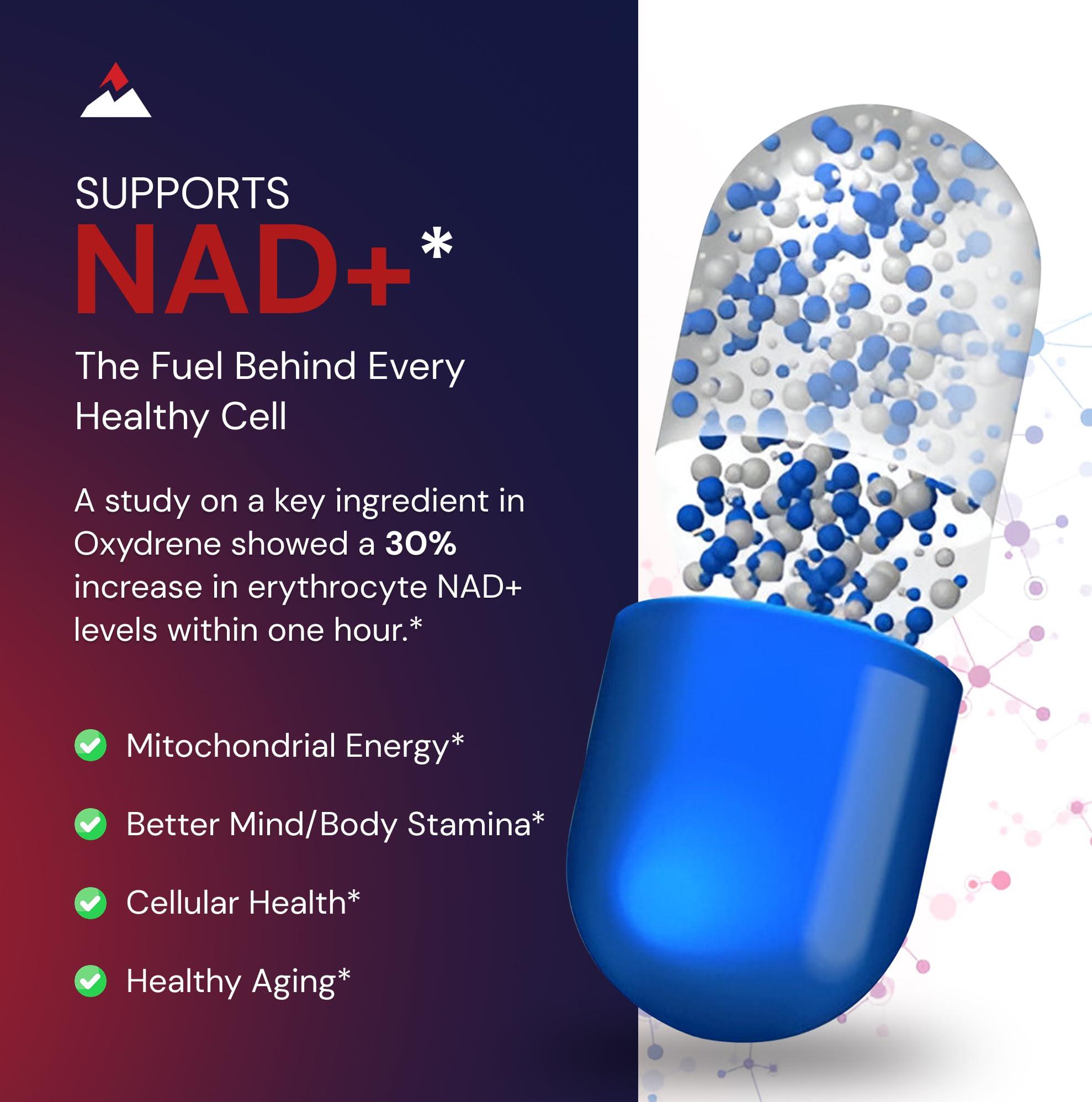 Novex Biotech Novex Biotech Oxydrene NAD+ Enhancer - Natural Supplement Promoting Metabolism and Cardiovascular Support for Men and Women - (60 Capsules)