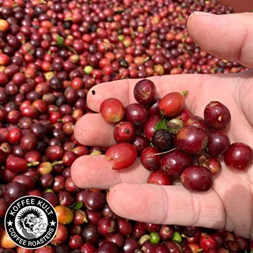 Koffee Kult Koffee Kult Dark Roast Coffee Combo Pack