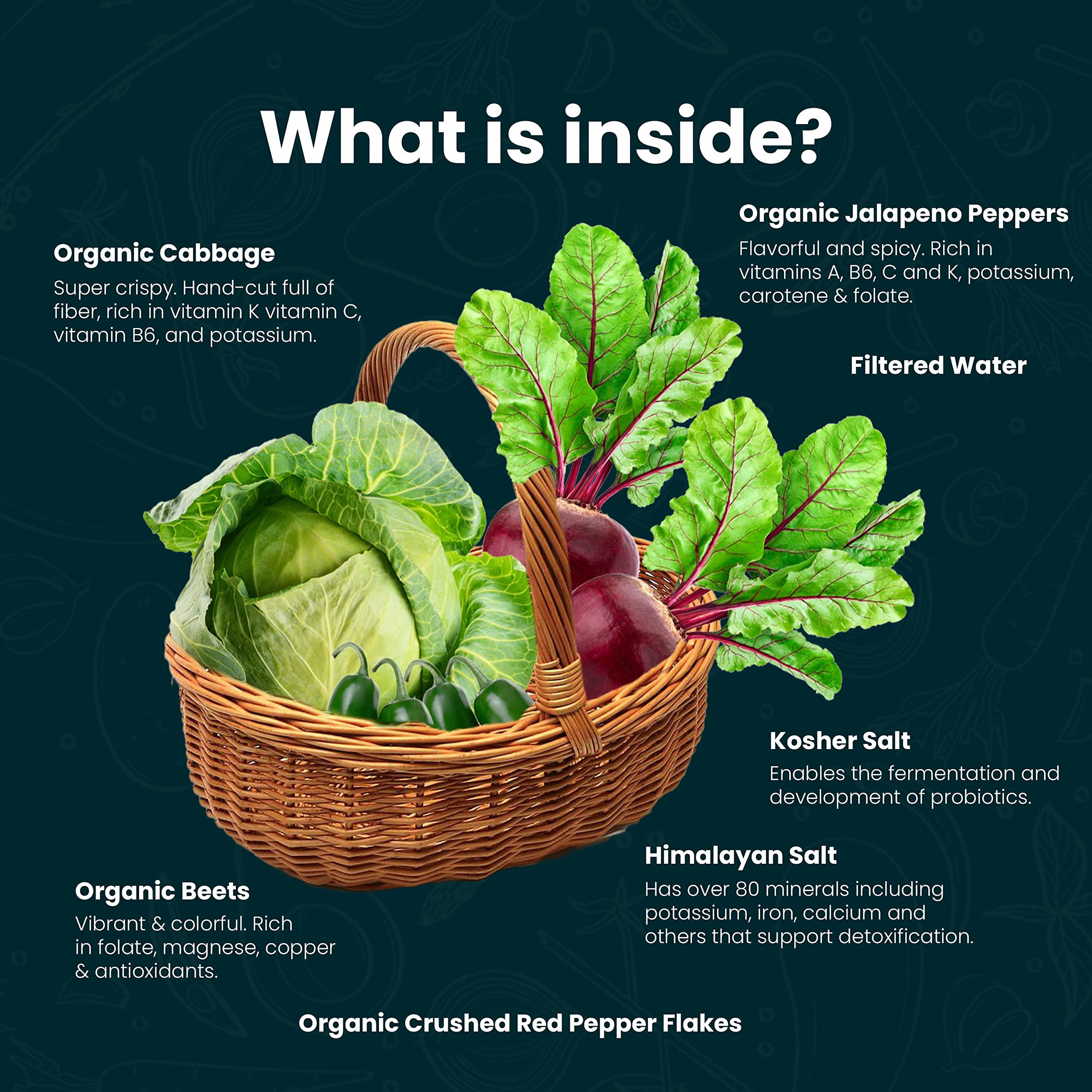 DAVIDsTEA DAVIDsTEA Organic Japanese Sencha Sachets Tea Bags, Premium Green Tea in 65 Sachet Tea Bags, 97.5 g / 3.43 oz