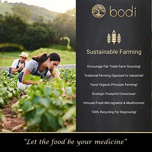 bodi bodi : Goldenseal Root 5:1 Extract Powder | 3oz to 5lb | 100% Pure Natural Hand Crafted (4 Oz)