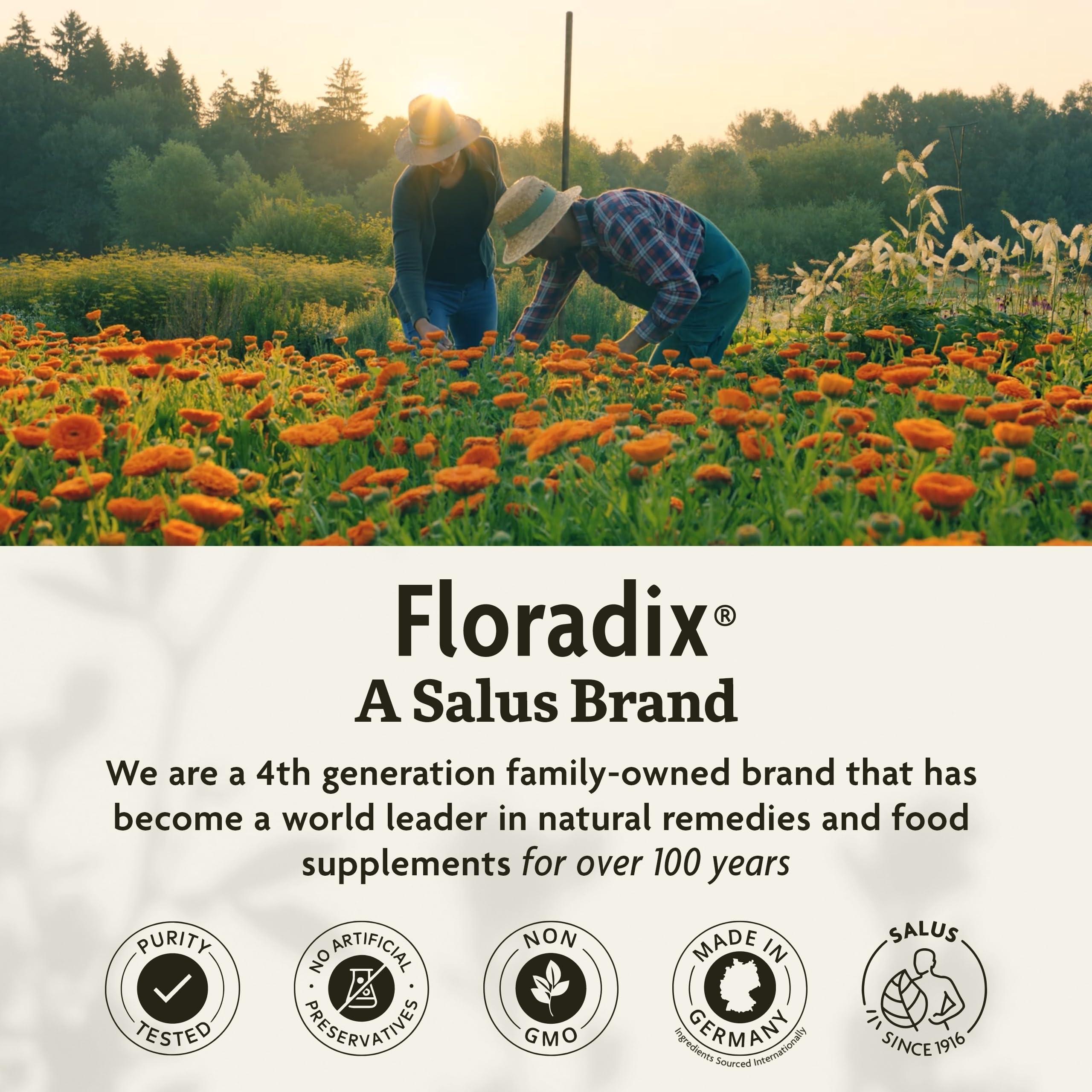 Floradix Floradix Iron Sport Liquid Mineral & Vitamin Formula - Daily Vitamin for Nutritional & Energy Support - Sports Nutrition with Gentle Iron, B Vitamins & More - Vegan & Non-GMO - 8.5 fl oz