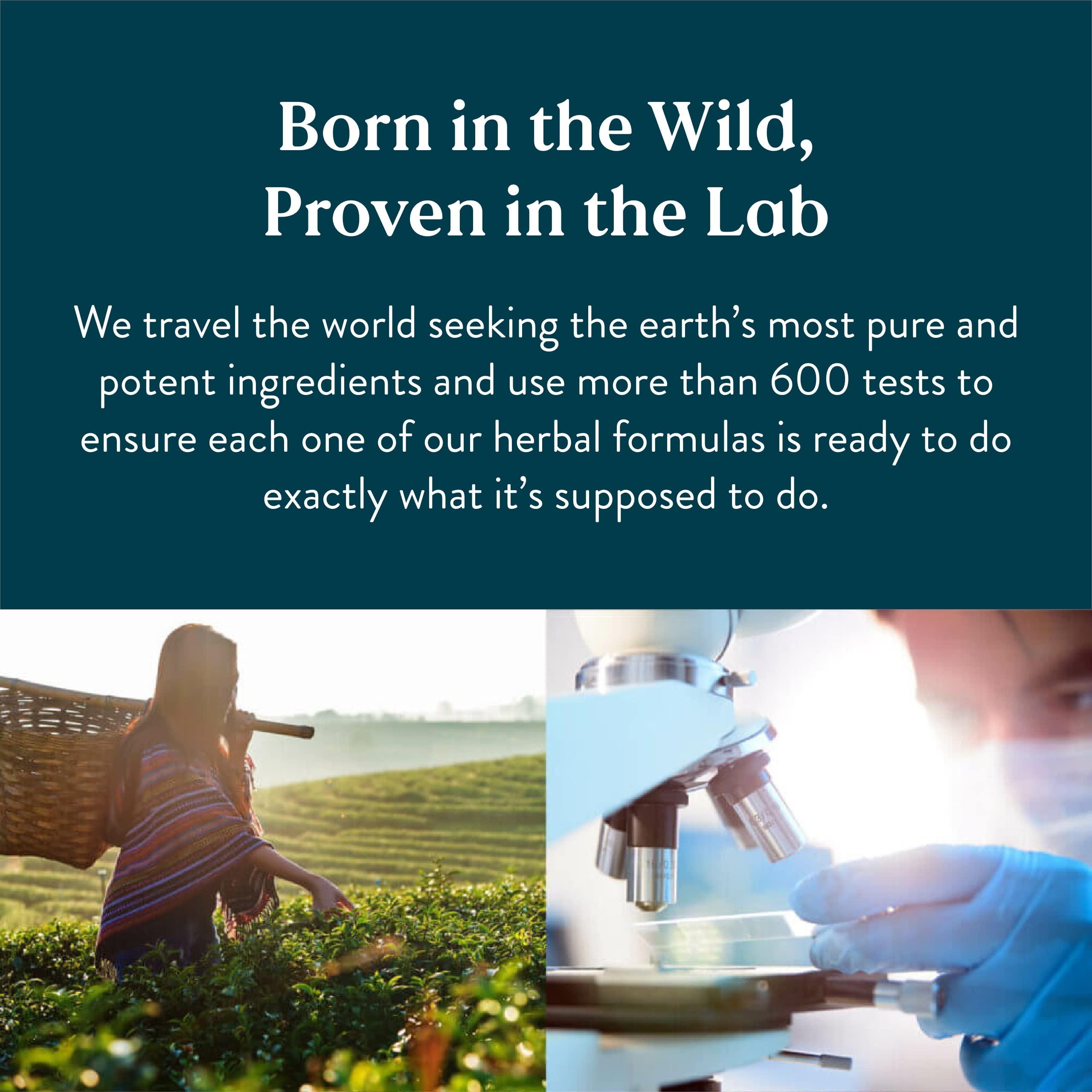 Nature's Sunshine Nature's Sunshine Balanced B Complex, 120 Tablets | B Complex Vitamins to Support Digestion and Nervous System Health with Vegetarian Formula