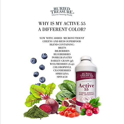 Buried Treasure Buried Treasure Active 55 Plus - 32 serv, Liquid Multivitamin for Seniors, Vegan, Sugar-Free, Natural Immune Support, Vitamins & Super-Foods Blend