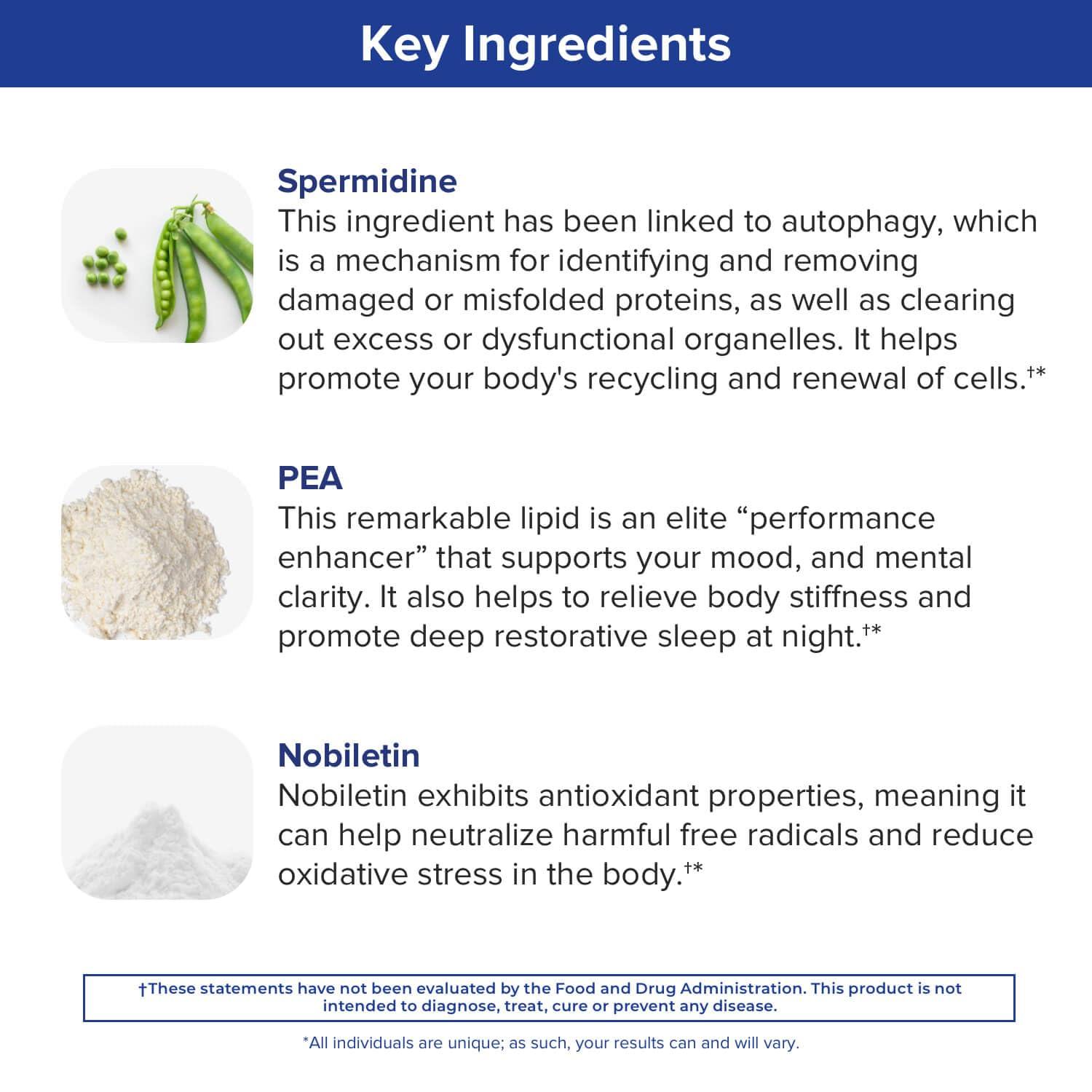 Gundry MD Gundry MD Bio Sync Supplement for Daytime Energy, Supports Focus and Memory* - (30 Servings)