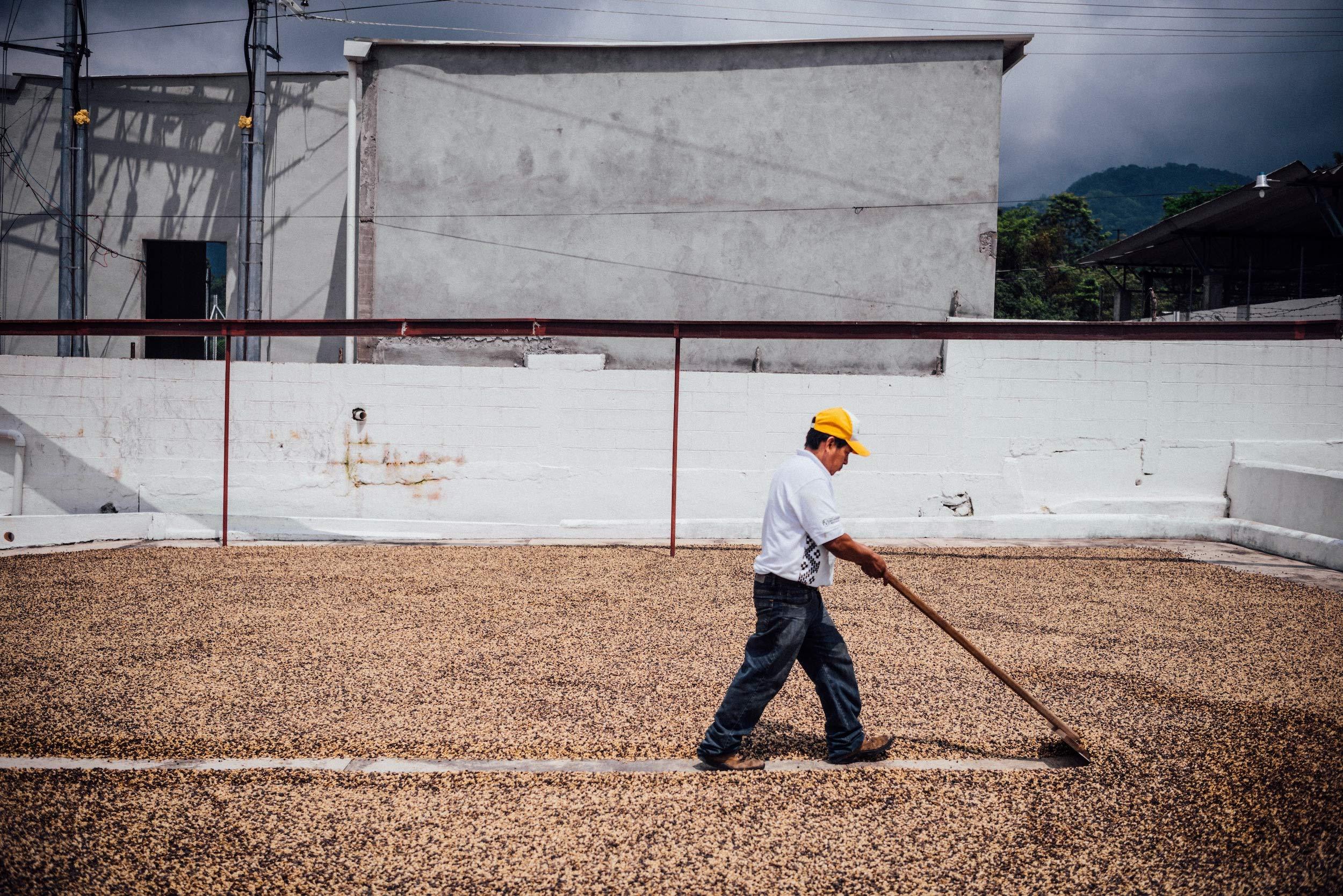 Nossa Familia Nossa Familia Italian Coffee - Medium-Dark Roast Low Acid - Fair Trade Ground Coffee Bean- Smooth Balanced and Low Bitterness - Roasted Whole Coffee- Sourced from Small Peruvian Farms - Delicia 12oz