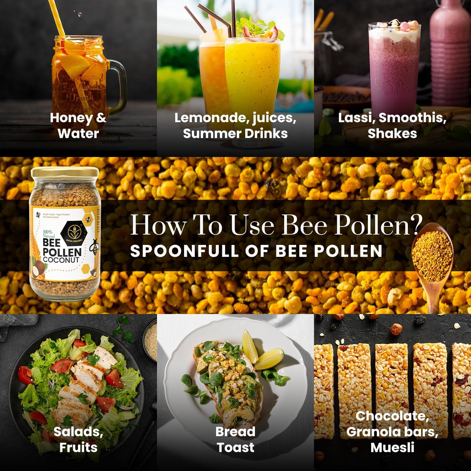 Terry\'s Terry\'s Dark Chocolate Oranges - Pack of 12 - Each Orange 5.53oz - Holiday Classic Dark Chocolate Orange