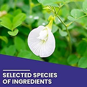 Astha Astha Kamdhenu Shankh Puspi Powder 250gm Convolvulus pluricaulis