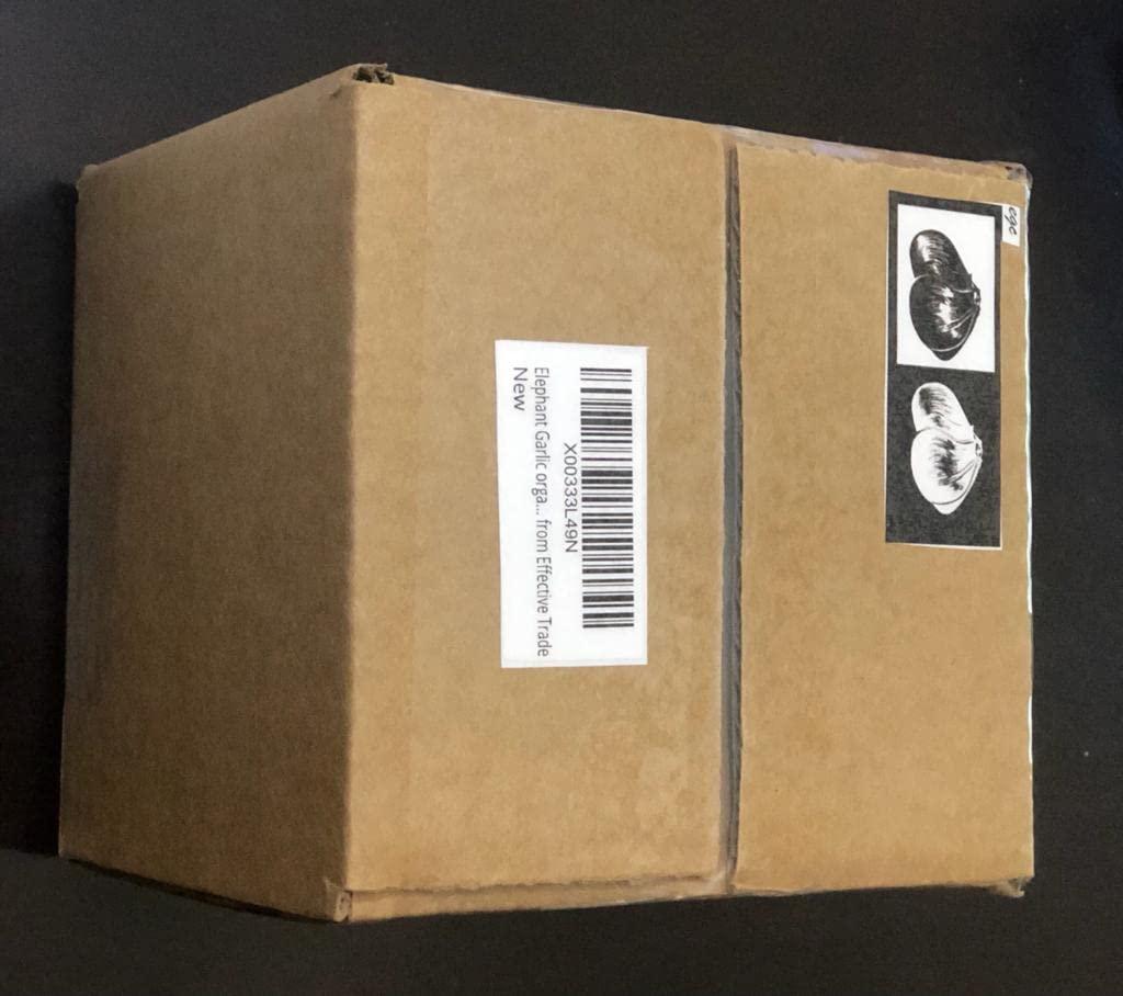 EGC Elephant Garlic organic seeds for Planting Non GMO Milder great Tasting Garlic. Ship from Amazon sell by Effective Trade