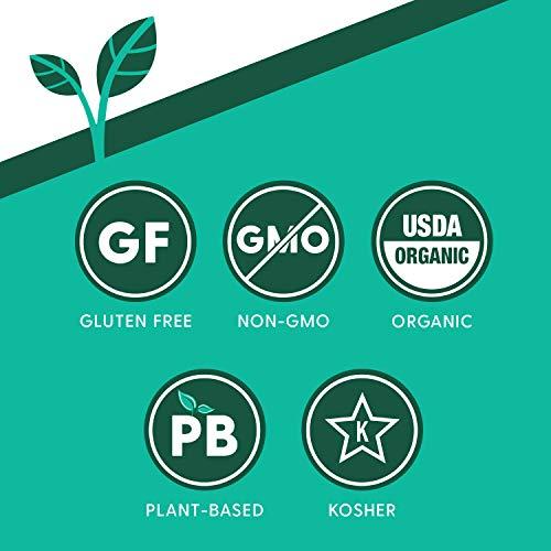 Ancient Harvest Ancient Harvest Wheat Free Spaghetti -- 8 oz