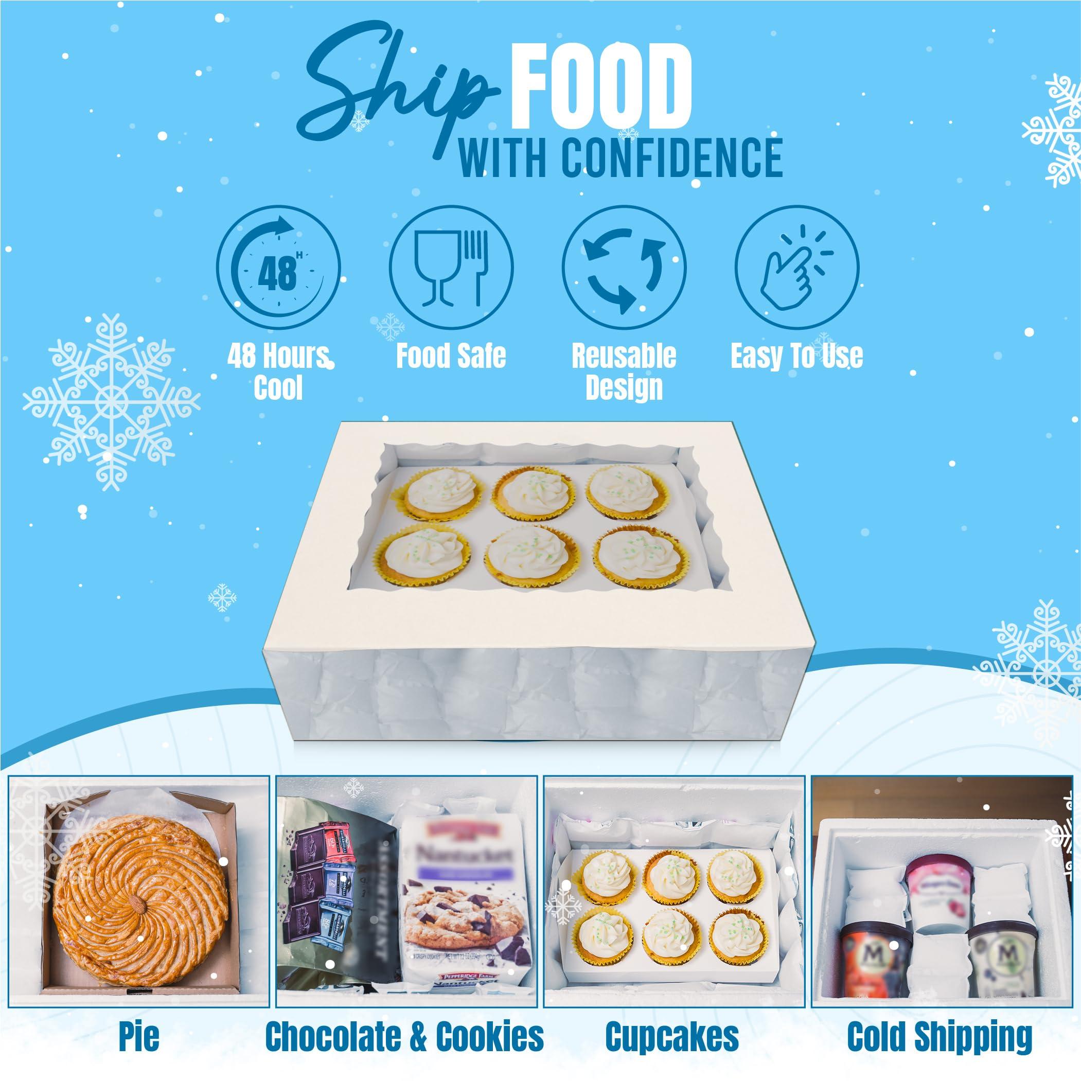 WORLD-BIO Shipping Cold Packs Dry Ice for Shipping Frozen Food, Flexible Cold Ice Pack Sheets for Coolers, Long Lasting Freezer Ice Packs 14\'\' X 13\'\' 144Cells