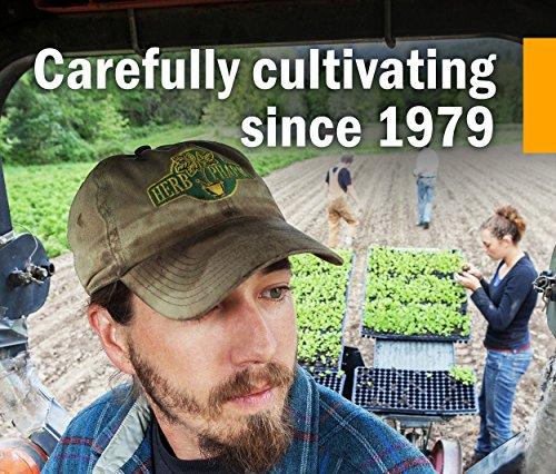 Herb Pharm Herb Pharm Certified Organic Super Echinacea Liquid Extract Drops for Active Immune System Support, 2 Oz