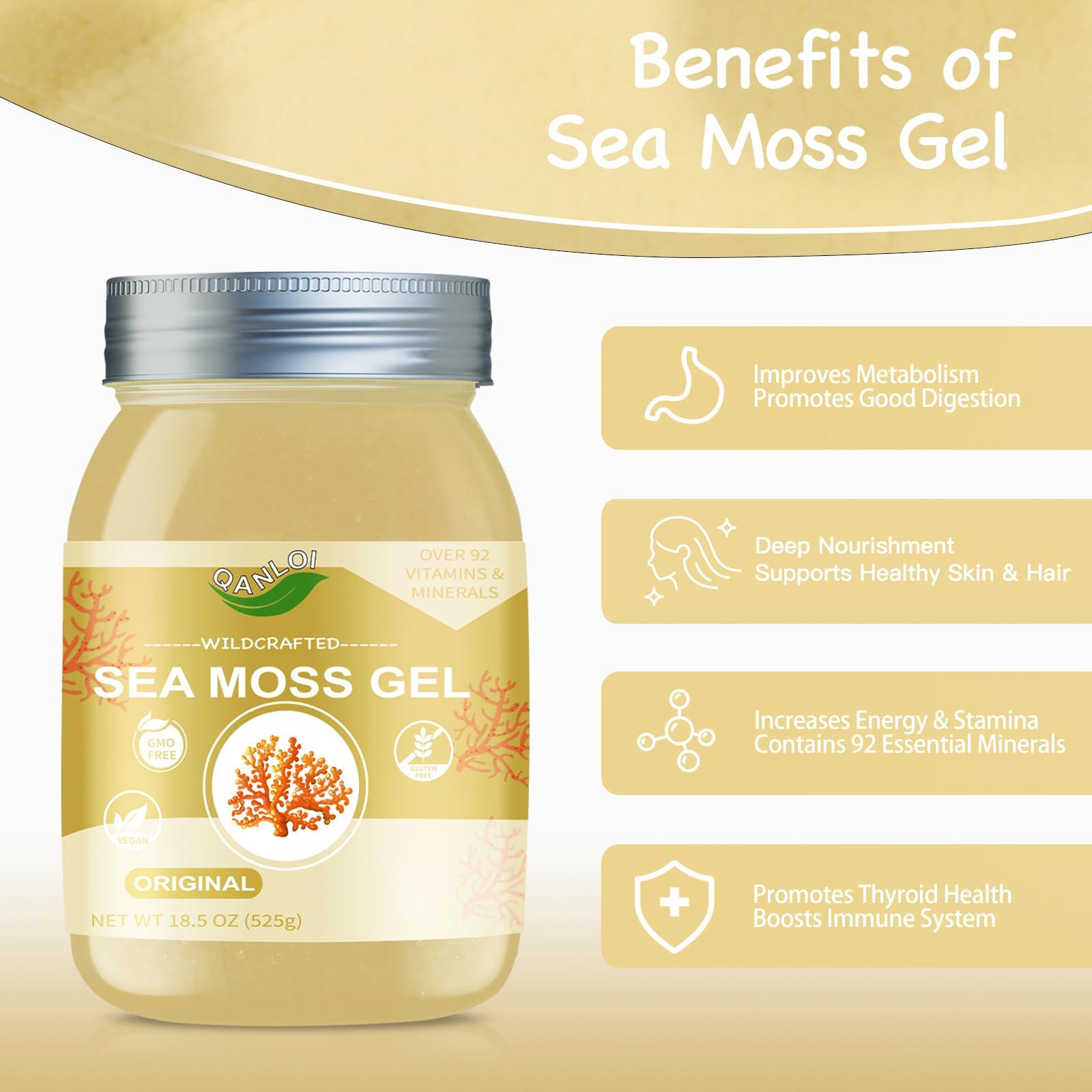 QANLOI Sea Moss Gel Organic Raw-Sea Moss Advanced Superfood-Organic Sea Moss Supplement-Gut Health-18.5OZ Natural Sea Moss GelOriginal