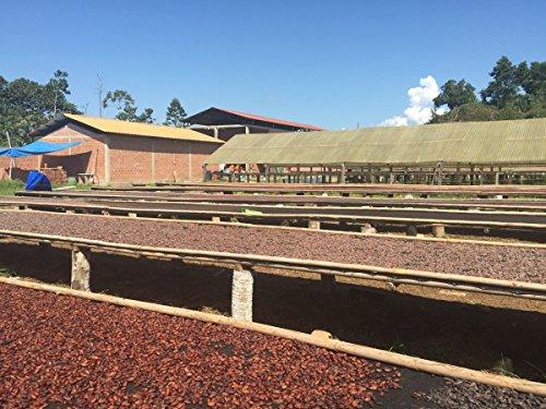 Alto Beni Cacao Company 3 lbs BOLIVIA ABC ORGANIC WALIKEEWA RAW CACAO/COCOA BEANS