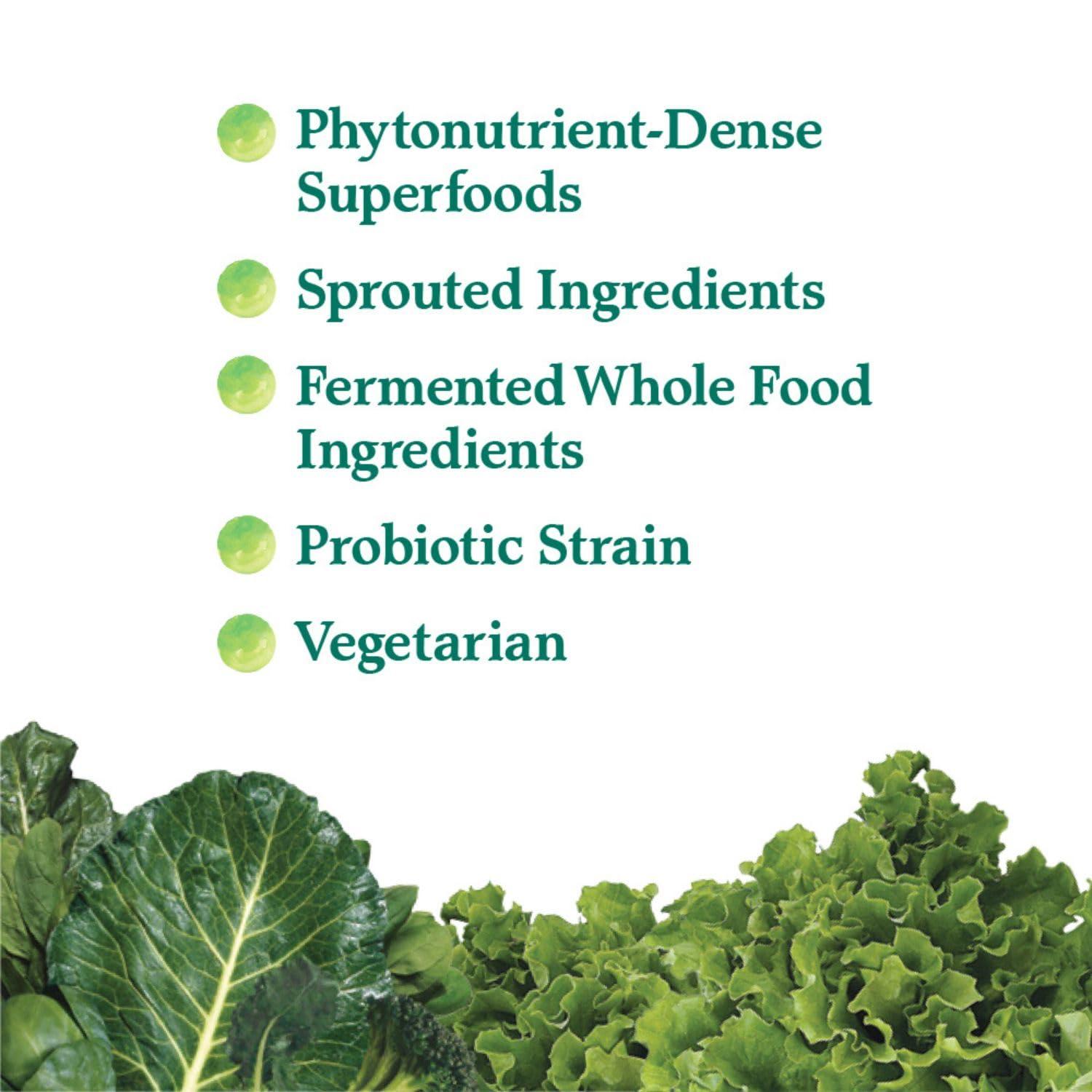 Garden of Life Garden of Life Perfect Food Super Green Formula - 30 Servings | 45 Superfoods, Greens, Fruit & Veggie Juice Superfood Powder Supplement, Probiotics & Organic Spirulina for Digestion & Immune Health