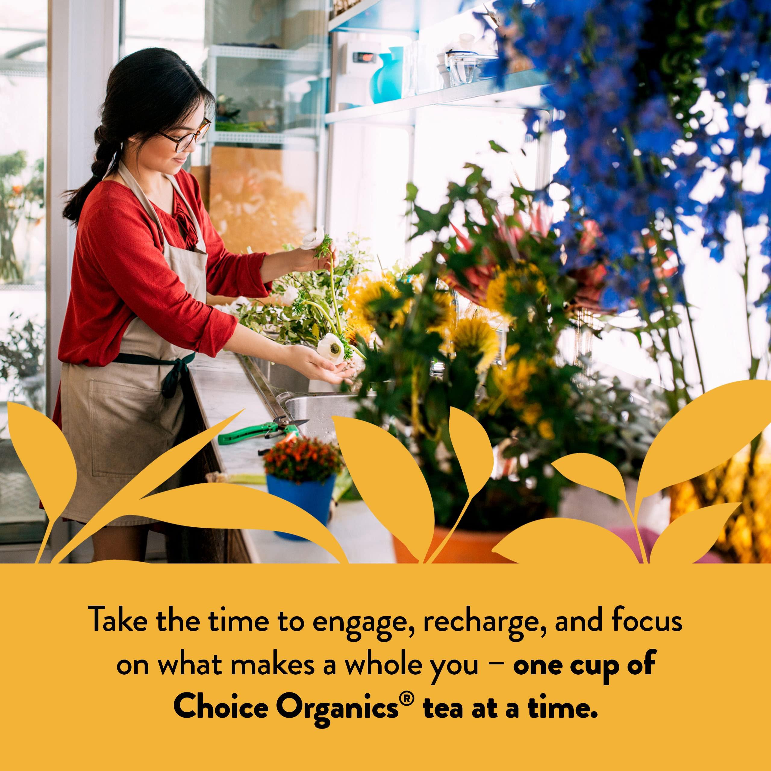 Choice Organics Choice Organics - Organic Mandarin Ginger Tea (6 Pack) - Organic Herbal Tea - 96 Tea Bags