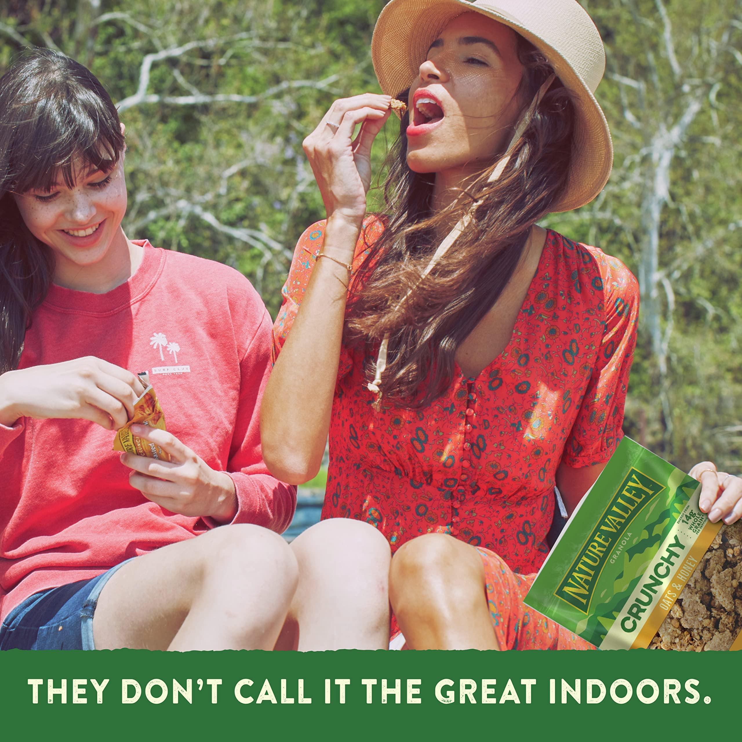 Nature Valley Nature Valley Protein Granola, Oats and Honey, Family Size, Resealable Bag, 17 OZ