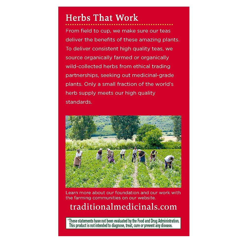 Traditional Medicinals Traditional Medicinals Organic Lemon Echinacea Throat Coat Herbal Tea - 16 Tea Bags