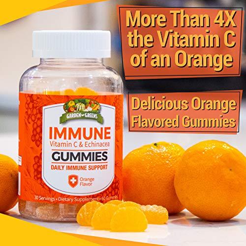 Garden Greens Garden Greens Immune Gummies with Vitamin C and Echinacea, Daily Immune Support, Orange Flavor, 60 Gummies, 30 Servings