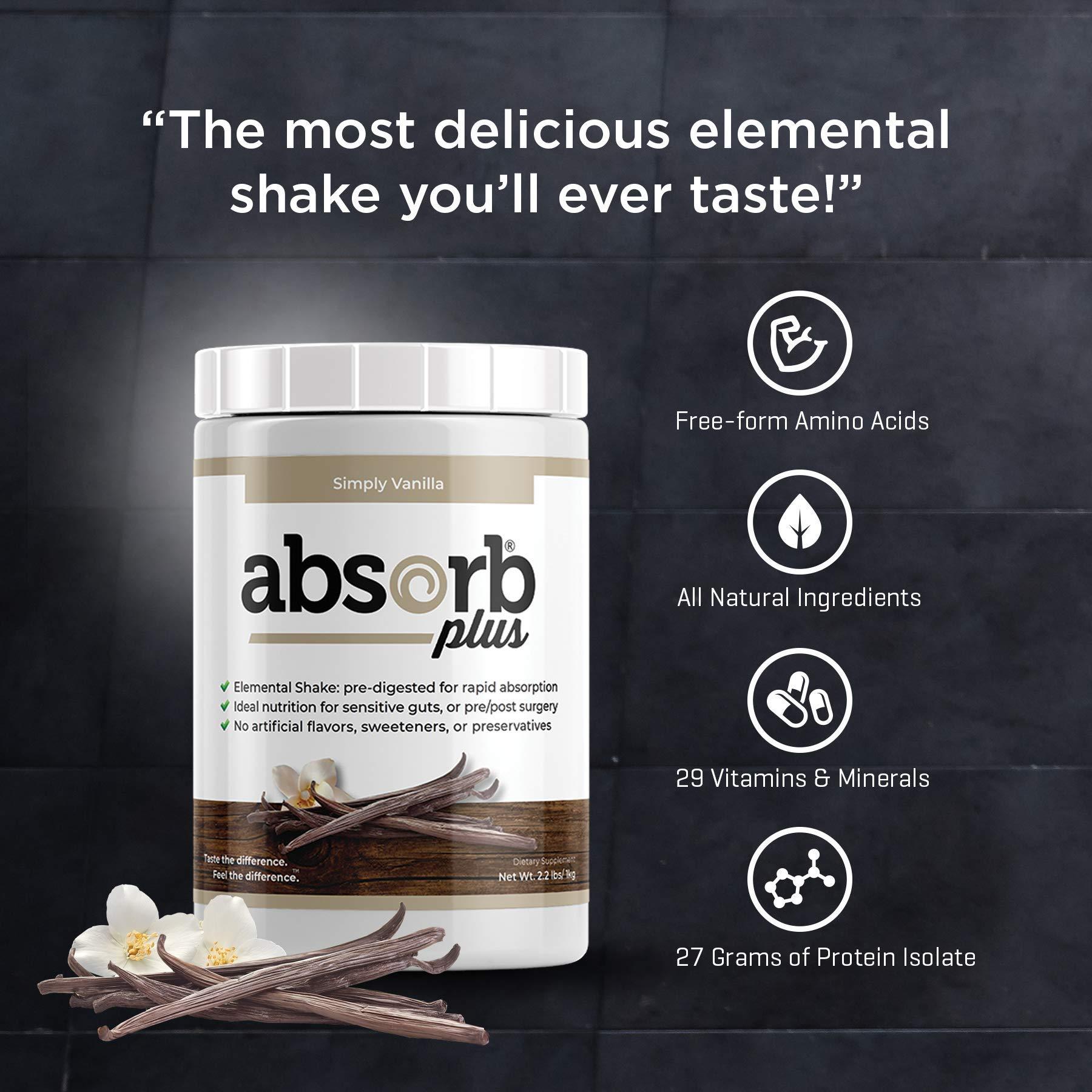 Absorb Plus Absorb Plus Elemental Shake  Nutrient-Rich Powder  Lactose-Free, Casein-Free, No Artificial Additives  Smooth, Easily Mixable Powder for Versatile Use  (100 g, Simply Vanilla)