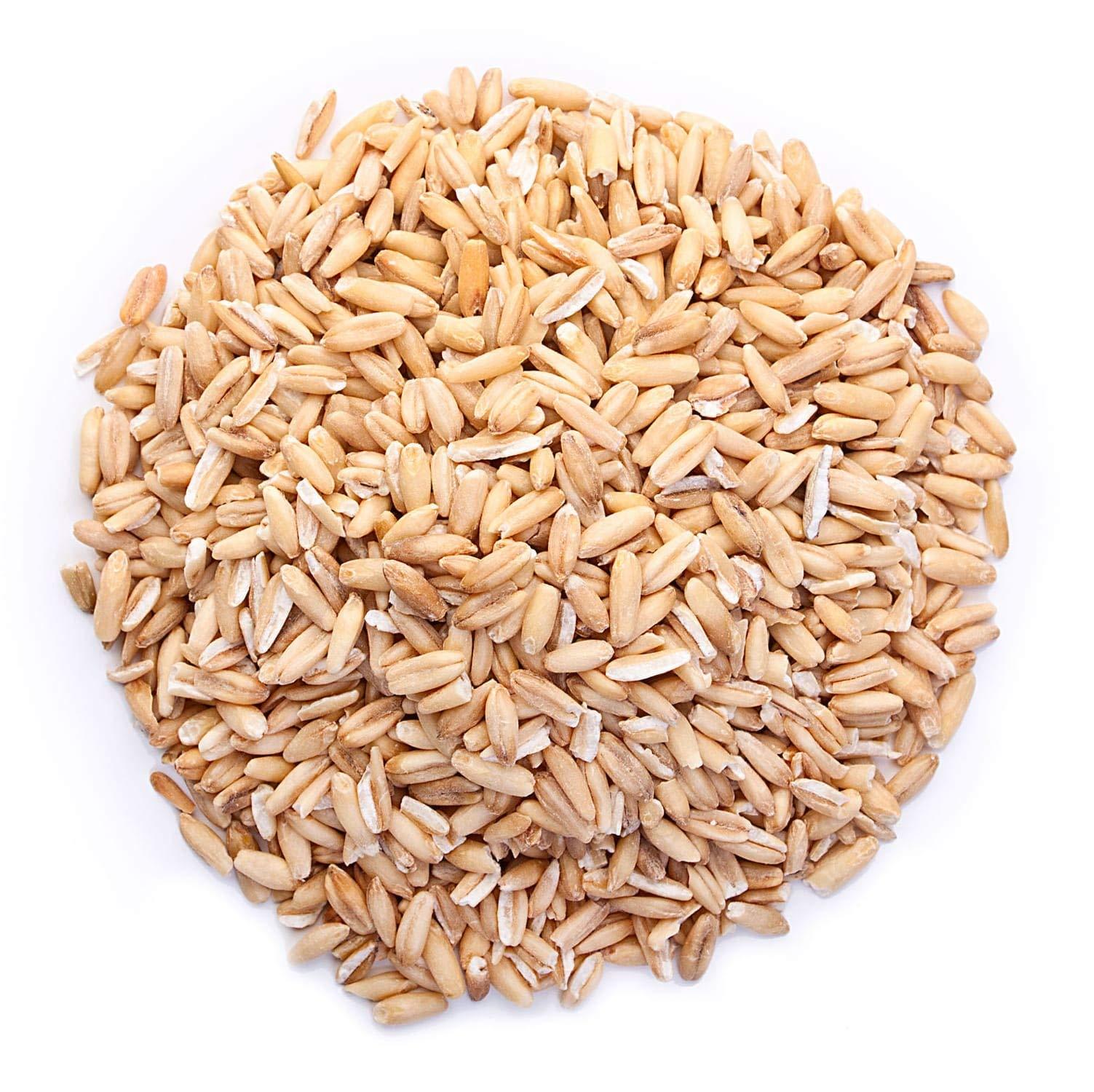 Food to Live Food to Live Organic Oat Groats, 5 Pounds 100% Whole Grain, Non-GMO Seeds, Kosher, Raw, Non-Irradiated, Vegan, Bulk, Low Glycemic, Rich in Protein, Fiber, Copper and Manganese