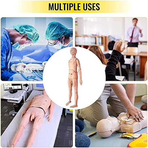 HIMFL Demonstration Human Manikin,Male and Female Nursing Manikin Life Size Patient Care Manikin for The Cure of The Patient Didactic Material in