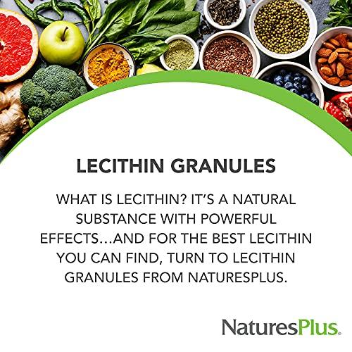 Nature's Plus NaturesPlus Lecithin Granules - 95% Soy Phosphatides, 12 oz - Lecithin Powder Supplement, Pleasant-Tasting, Oil-Free - Vegetarian, Gluten-Free - 45 Servings