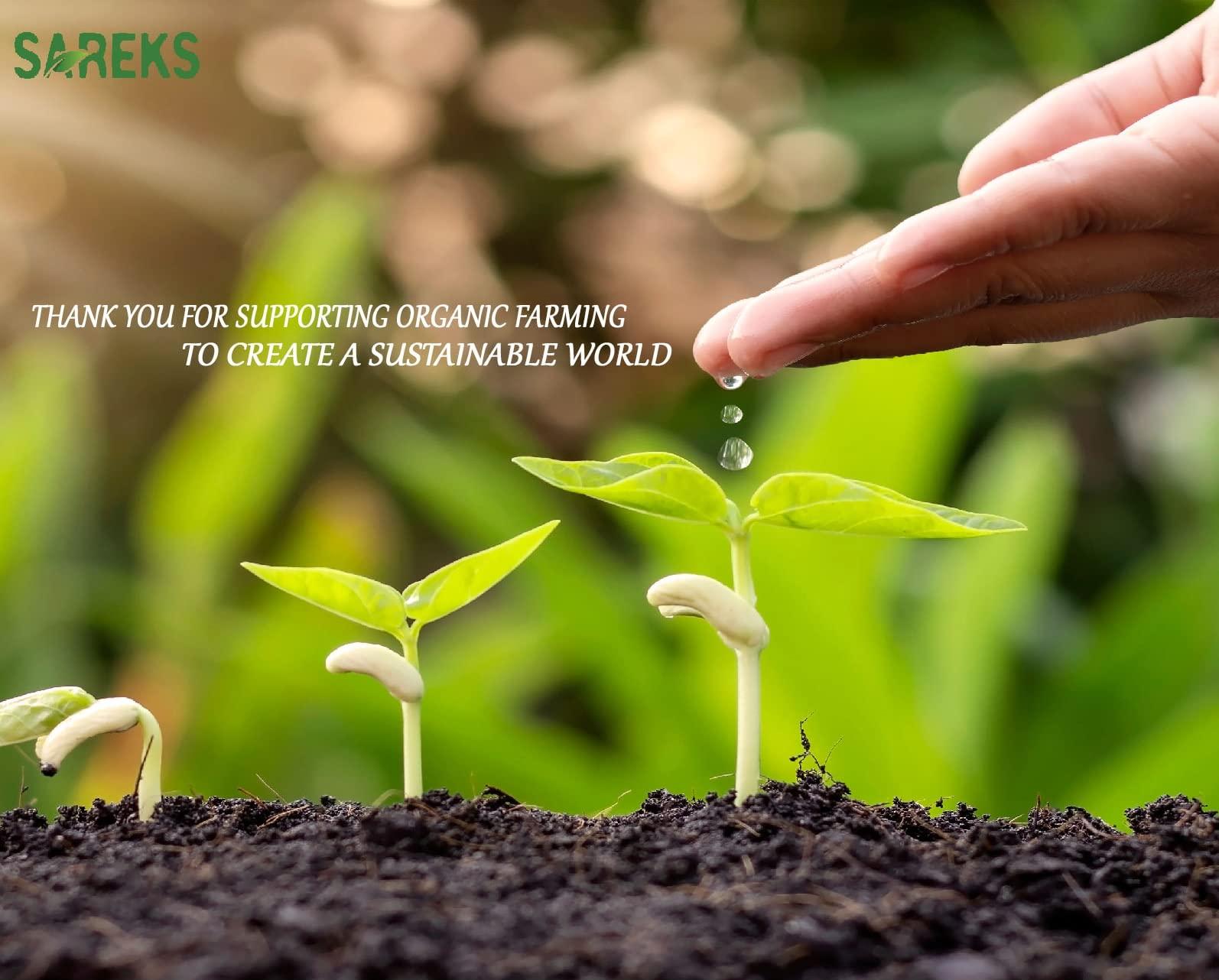 SAREKS Black Cumin Seed 100% USDA ORGANIC Certified - Black Seeds - Nothing Added - Resealable Bag - Bulk Nigella Sativa - Kalonji - Black Caraway - Raw (10oz)