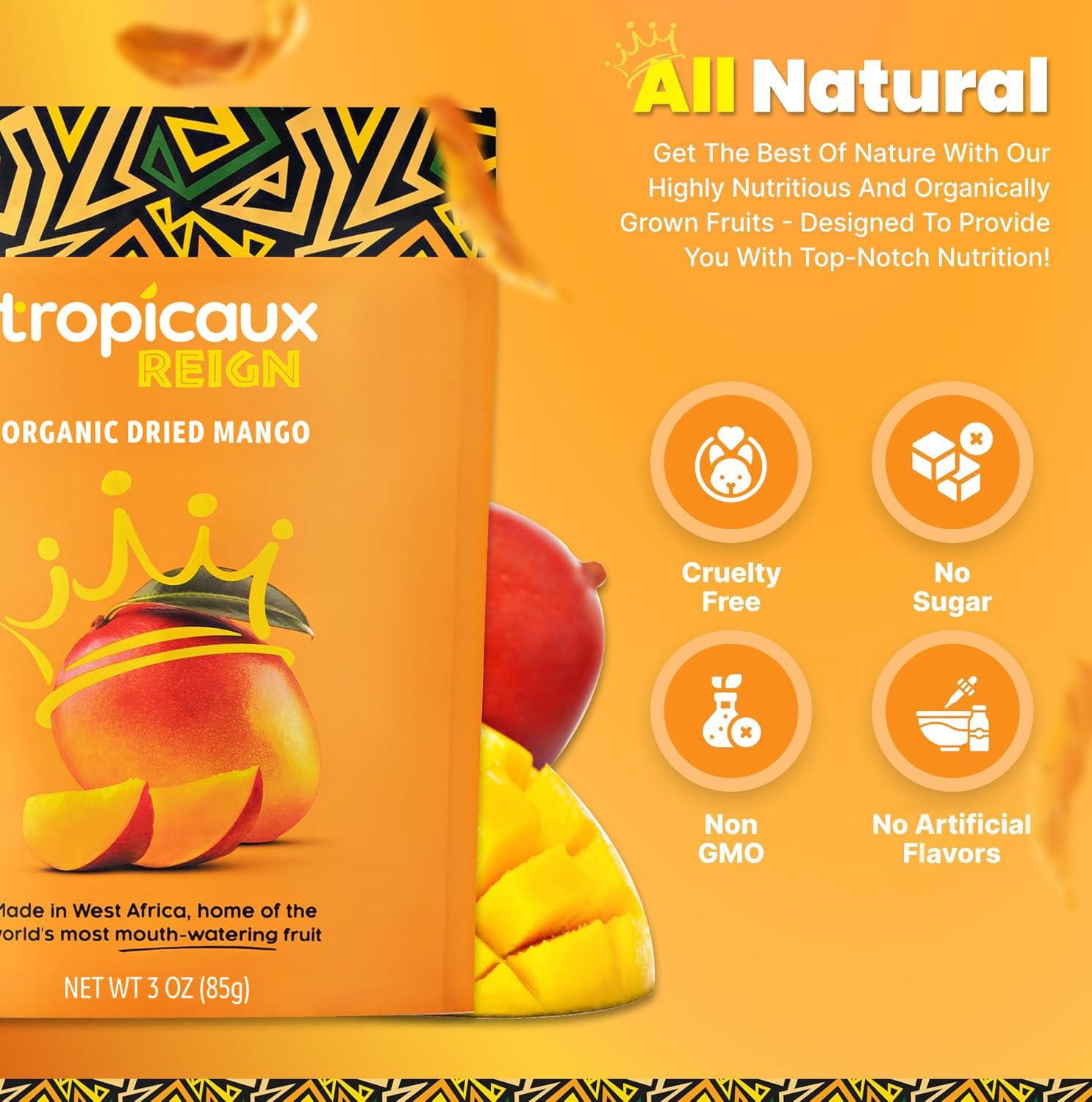 Tropicaux Reign Organic Dried Mango No Sugar Added, 3oz, Pack of 2 (6oz Total) - Delicious and Nutritious Non-GMO Dried Mangoes - No Preservatives or Chemicals - Perfect Snack for Kids & Adults by Tropicaux Reign