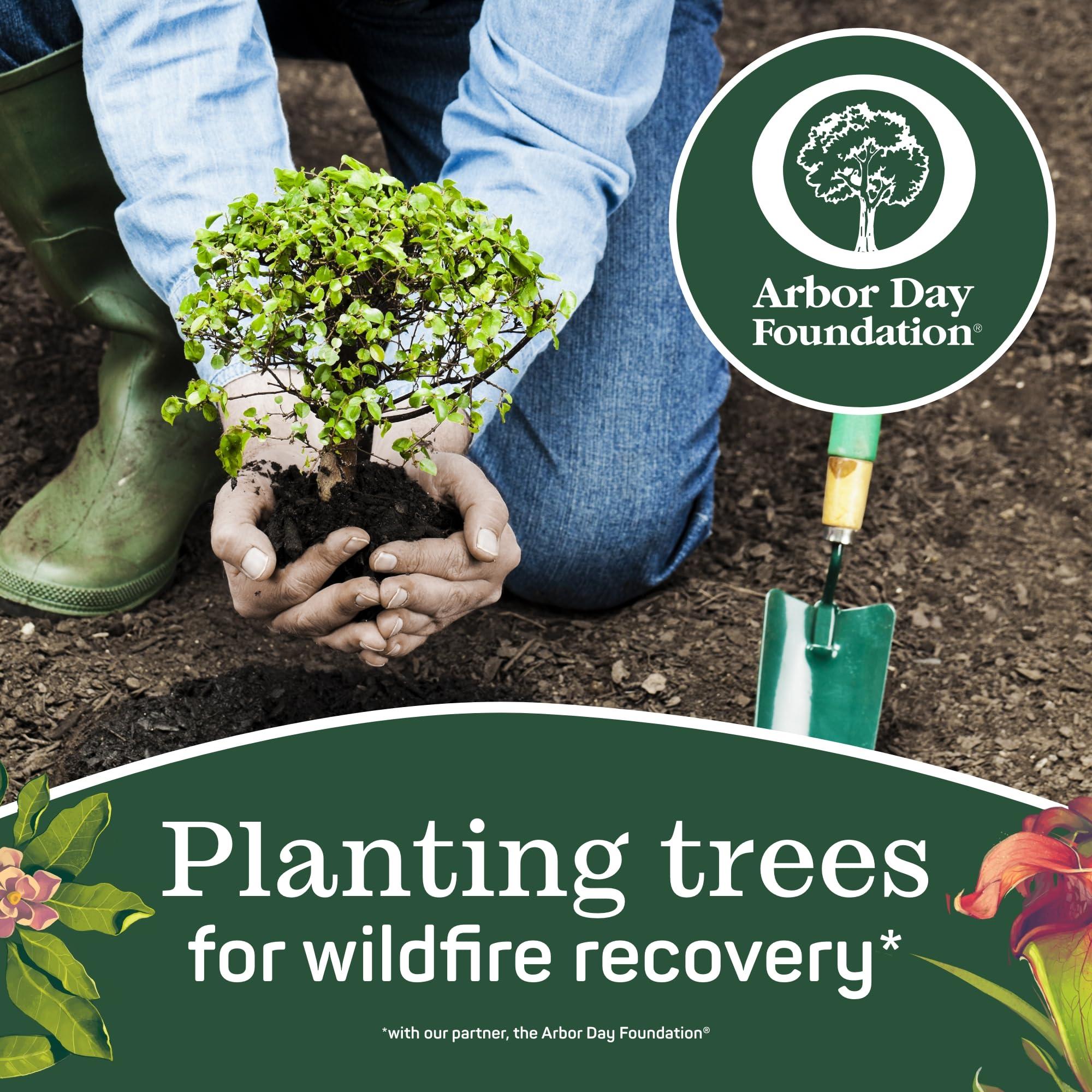 Aria Aria 100% Recycled Toilet Paper, 4 Packs of 6 Rolls, 3 Soft Layers of Bath Tissue with Recyclable Paper Packaging