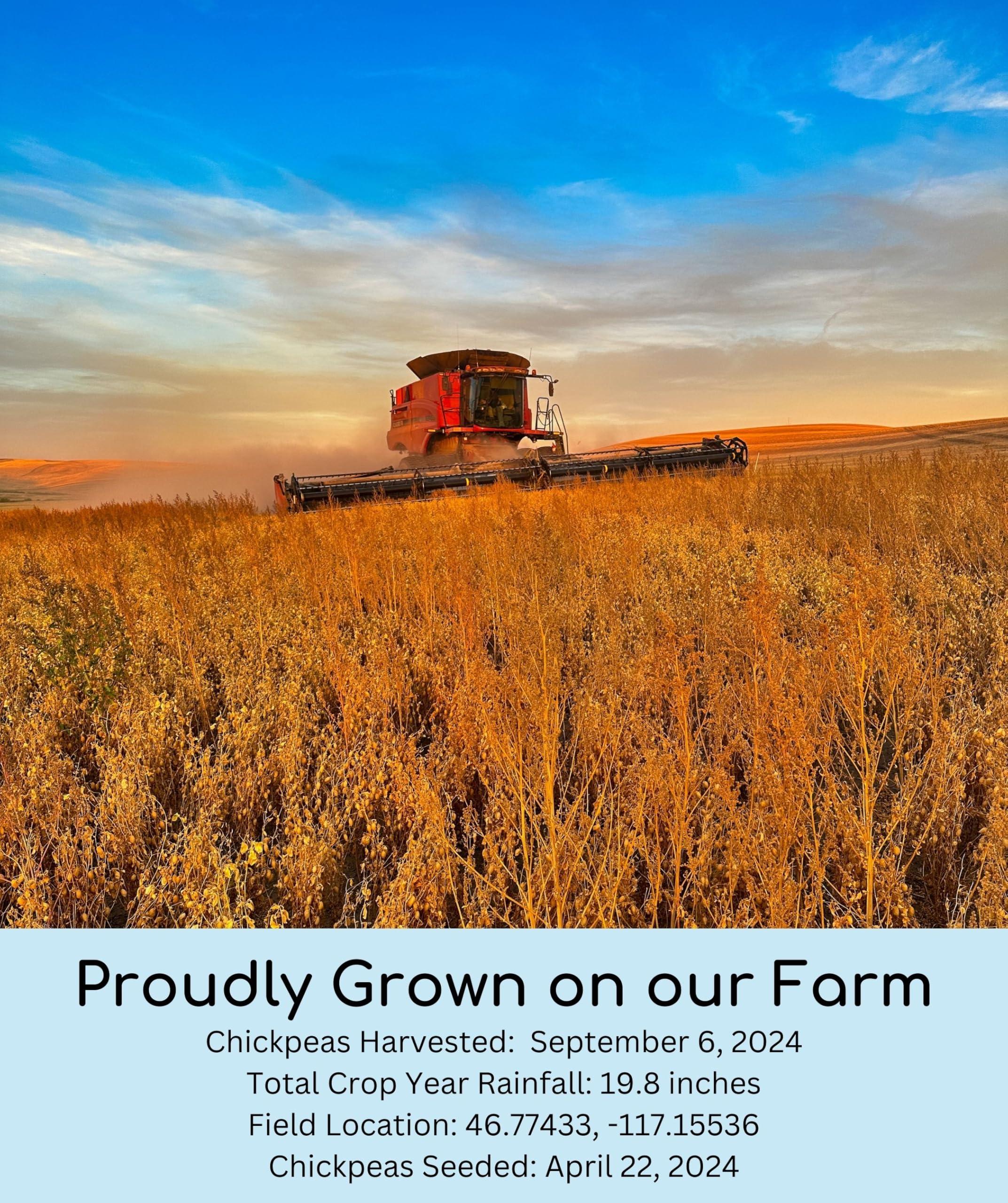 Palouse Brand Certified Glyphosate Residue Free Chickpeas | Garbanzo Beans | 5 LBS | Family Farmed in Washington State | Non-GMO Project Verified | Kosher Parve | USA Grown | Field Traced | Burlap Bag