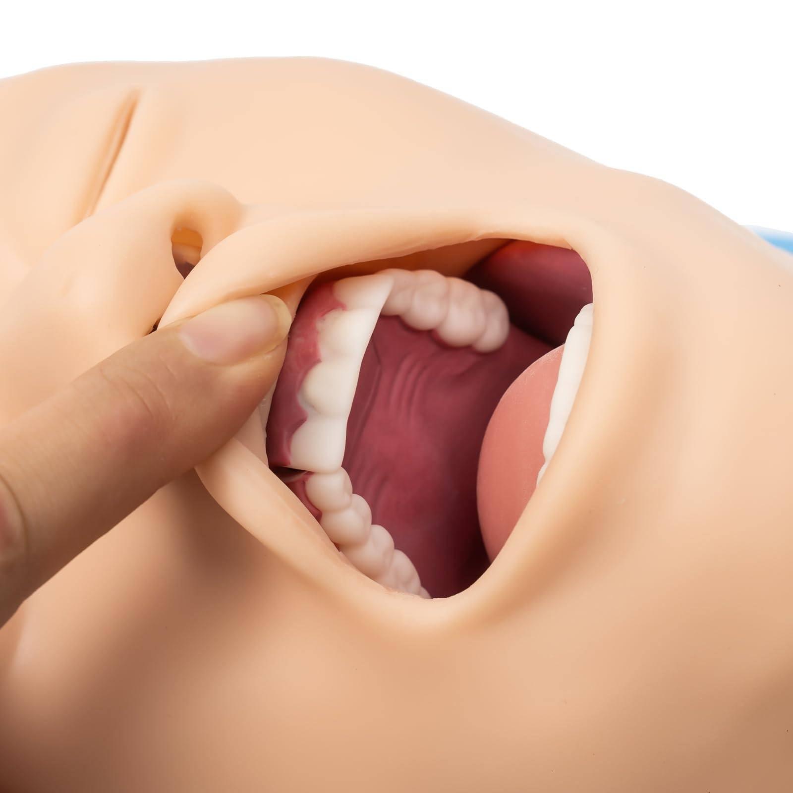 JINGEDD JINGEDD Intubation Trainer Manikin Teaching Model,Adult Intubation Manikin Kit Airway Management Intubation Tracheal Manikin Oral Nasal Intubation Training Airway Trainer Simulator Model