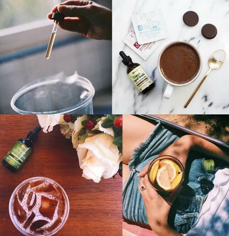 Omica Organics Omica Organics Organic Liquid Stevia - Plain (1.85 fl oz)